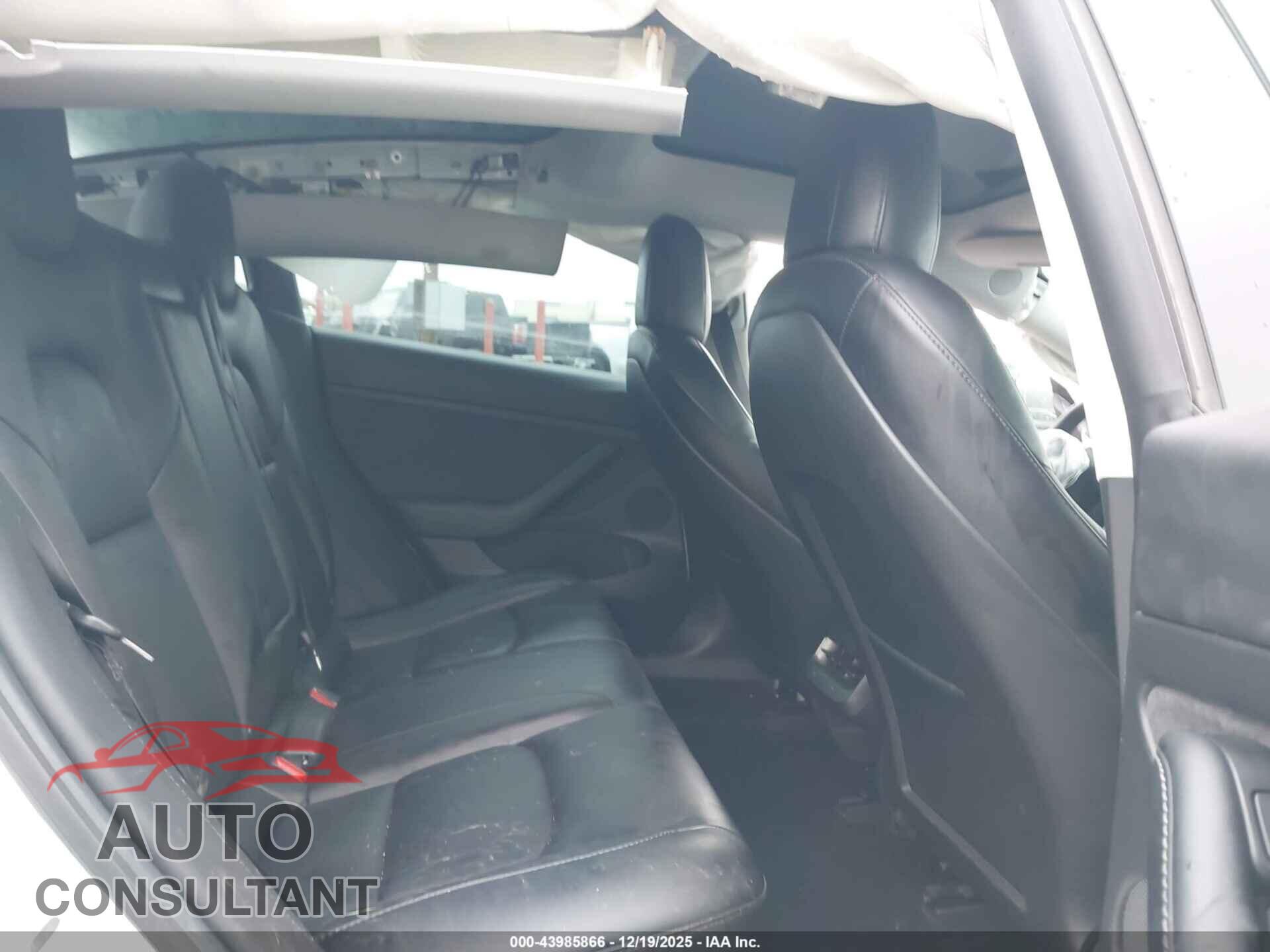 TESLA MODEL 3 2021 - 5YJ3E1EC8MF055455