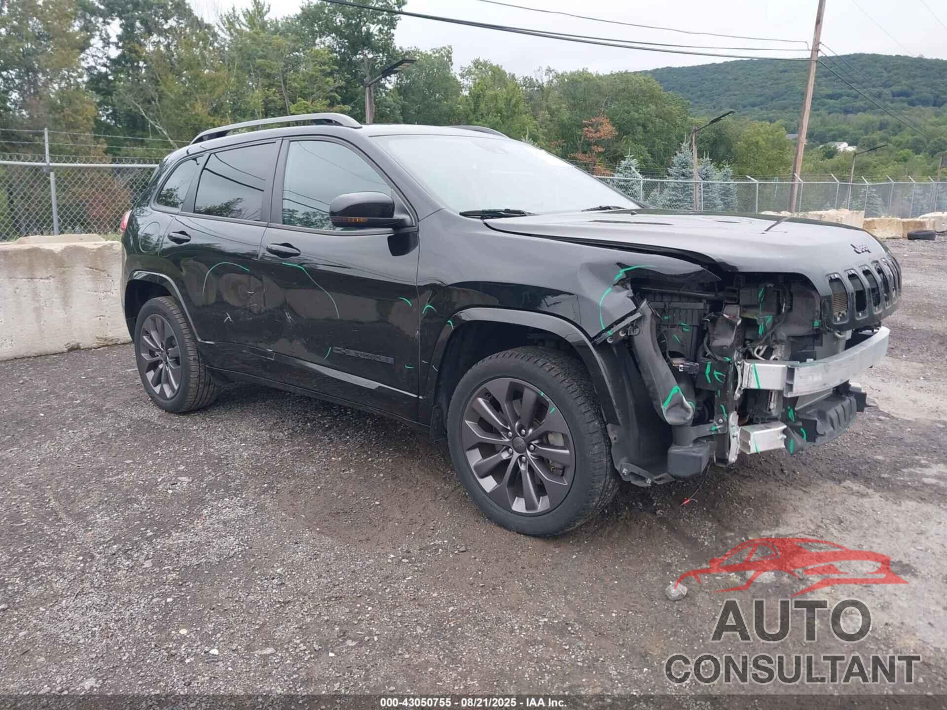 JEEP CHEROKEE 2020 - 1C4PJMDX9LD539238