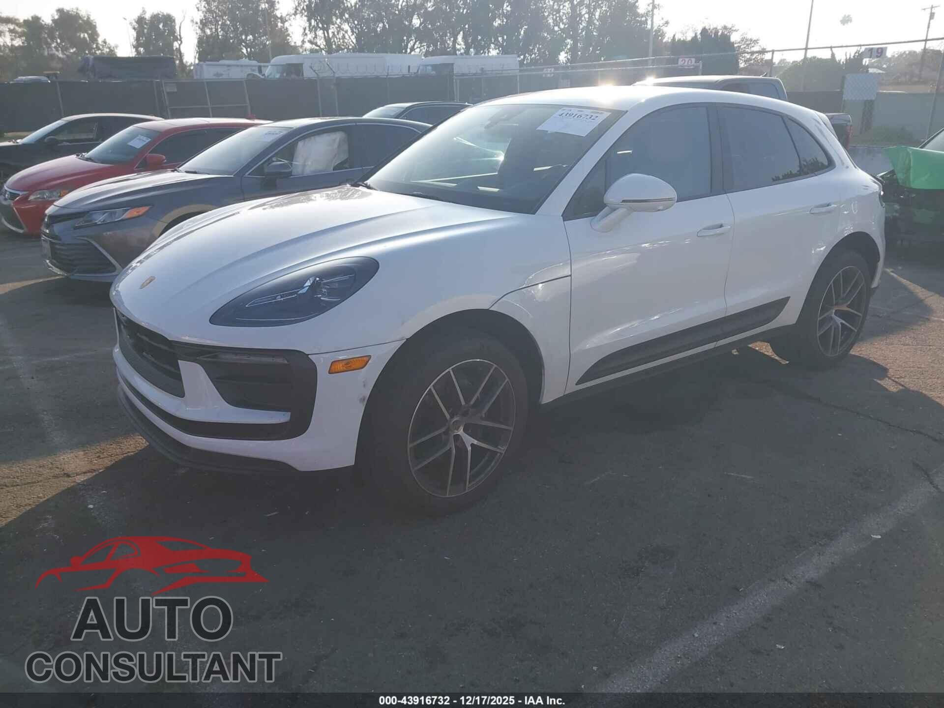 PORSCHE MACAN 2024 - WP1AA2A56RLB16904