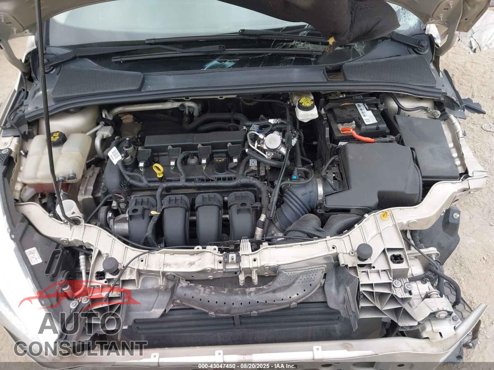 FORD FOCUS 2018 - 1FADP3F2XJL201014