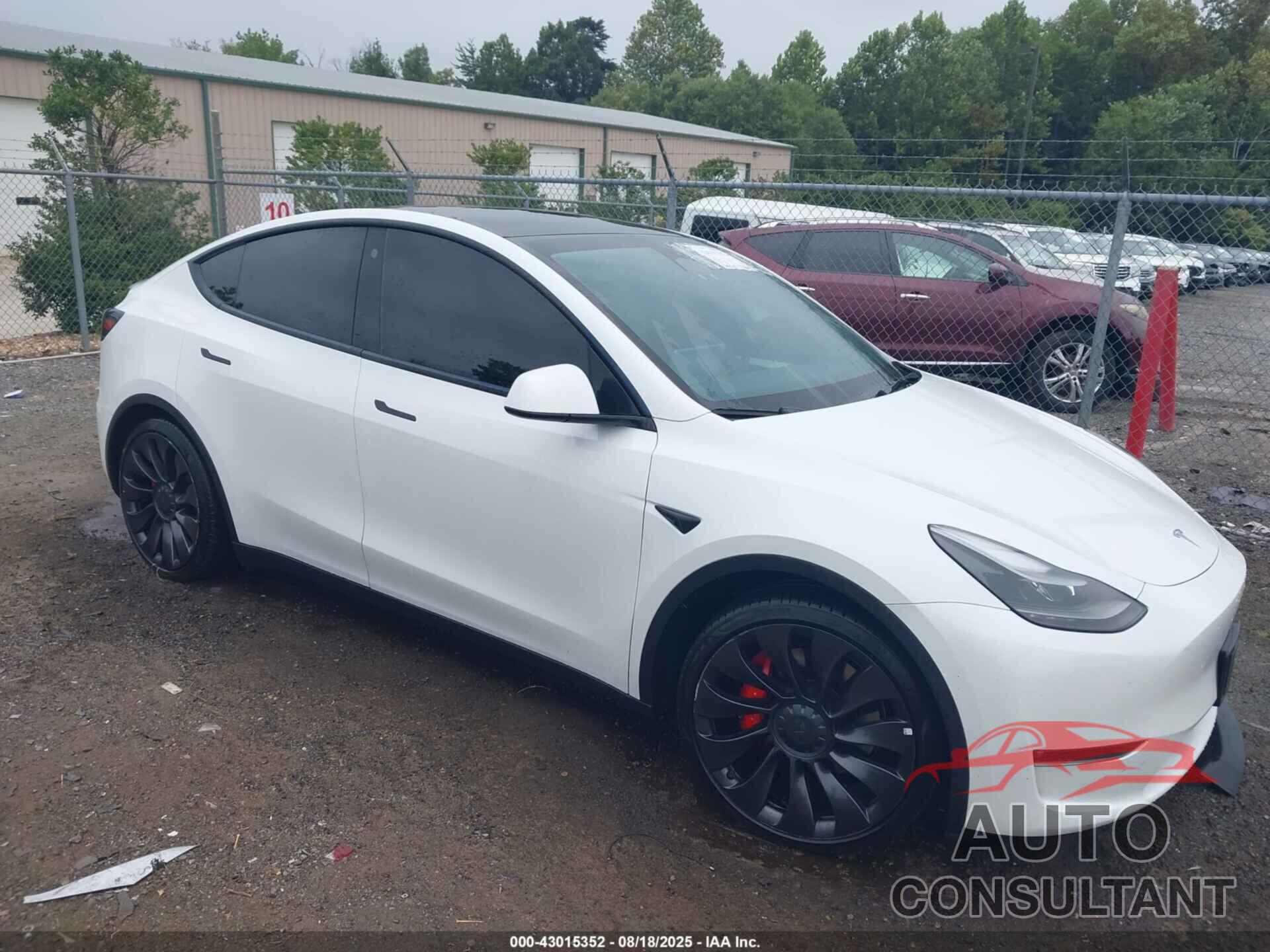 TESLA MODEL Y 2023 - 7SAYGDEF3PF603431