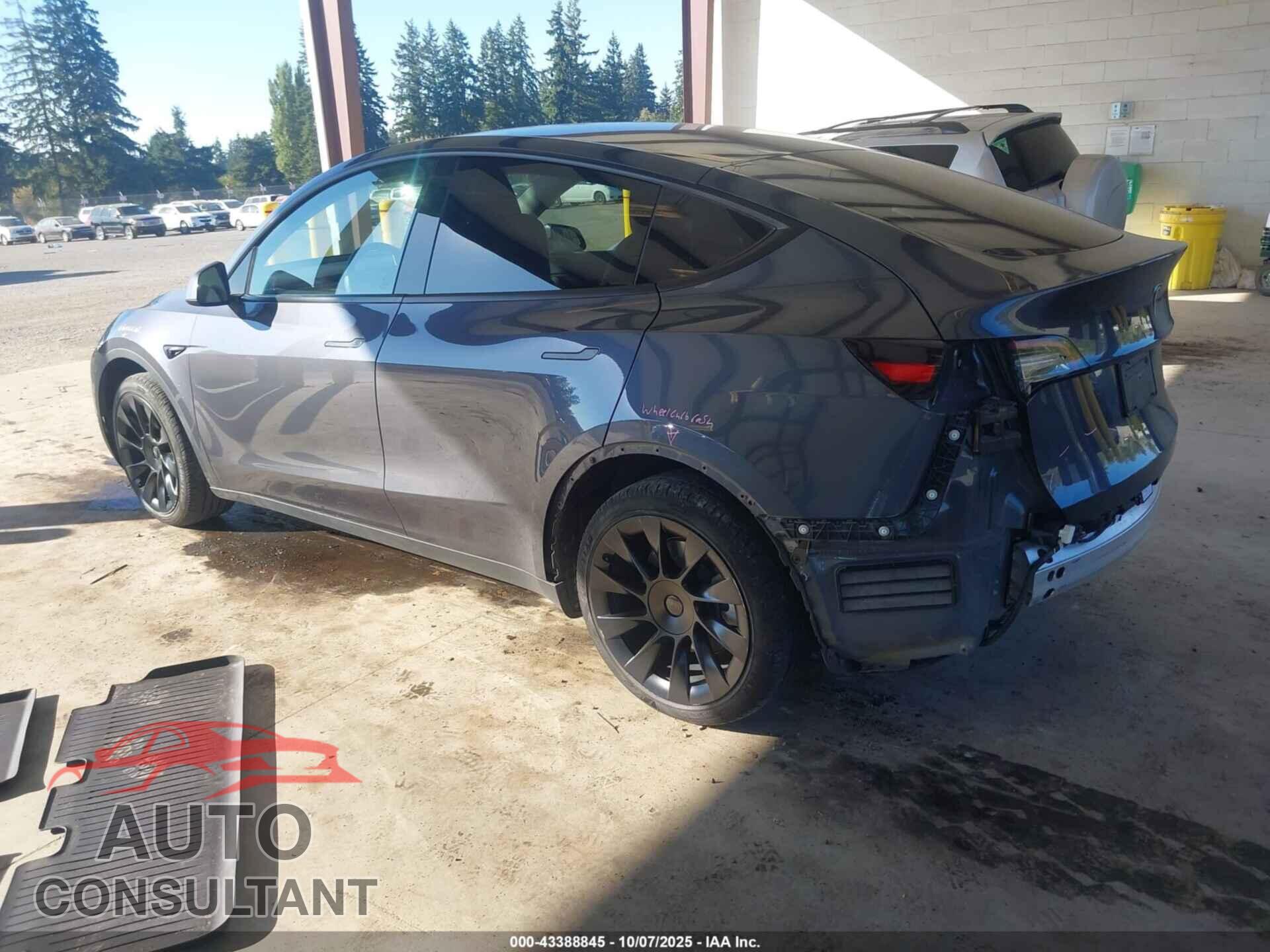 TESLA MODEL Y 2022 - 7SAYGDEE0NA006075