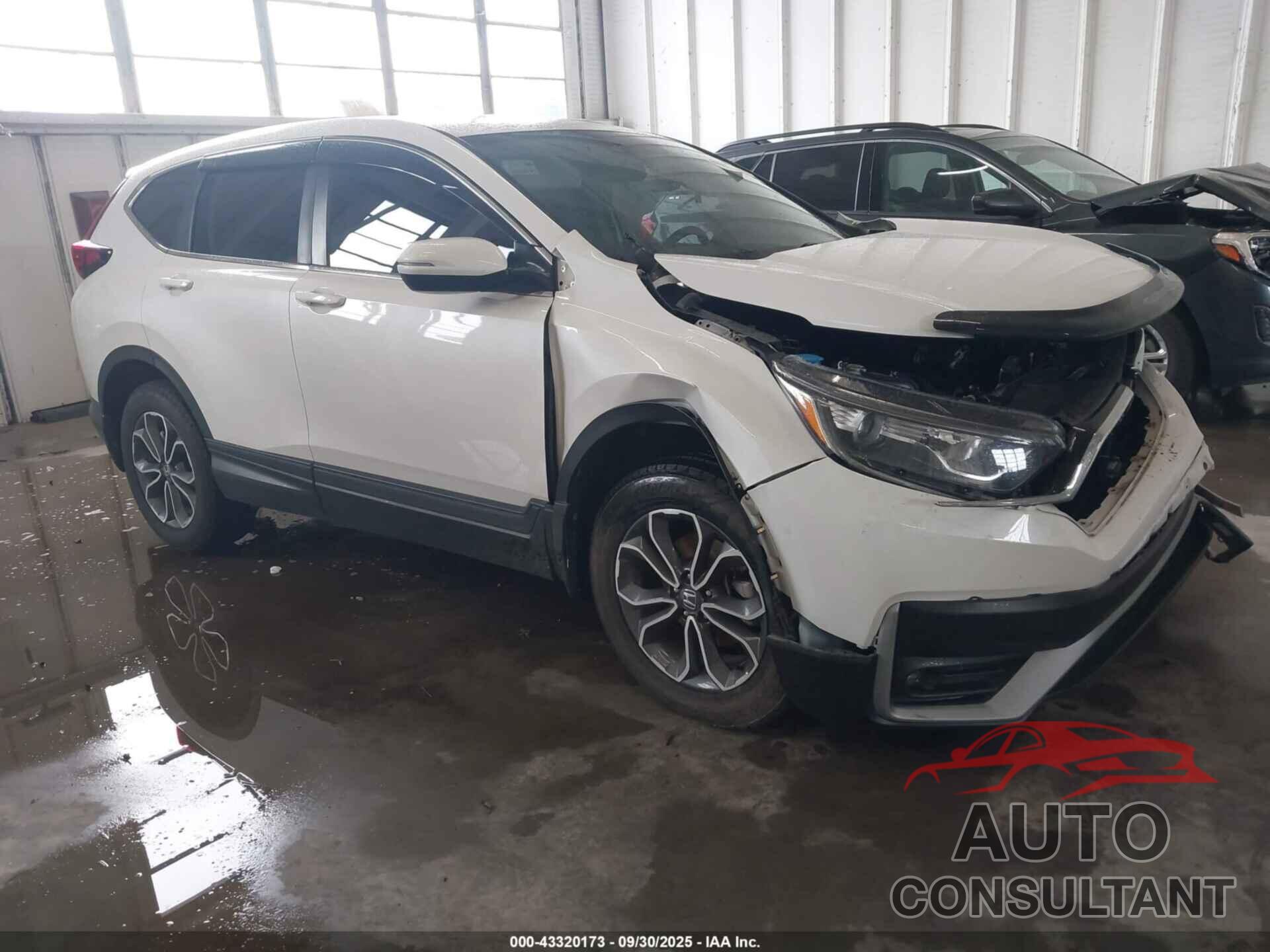 HONDA CR-V 2022 - 5J6RW2H59NL002797