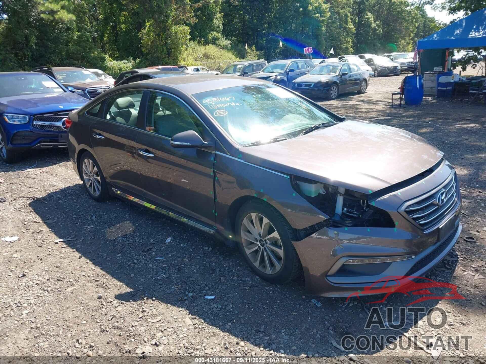 HYUNDAI SONATA 2016 - 5NPE34AF8GH421632