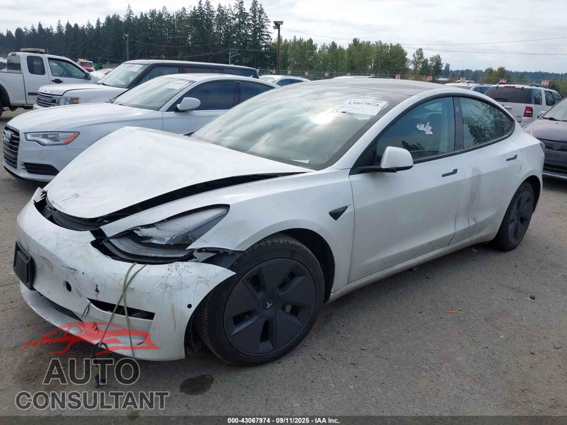 TESLA MODEL 3 2021 - 5YJ3E1EA5MF051636
