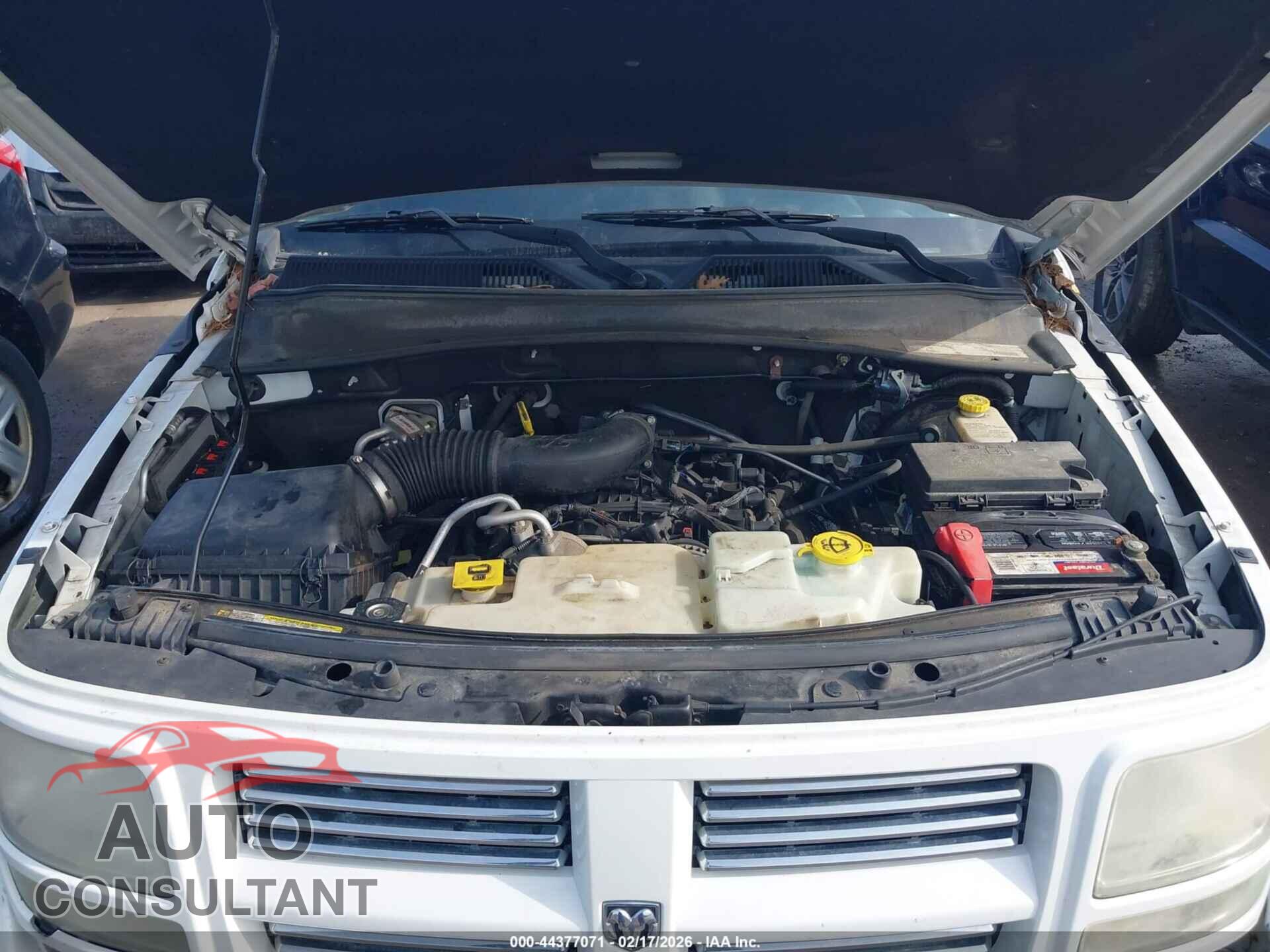 DODGE NITRO 2011 - 1D4PU4GK7BW590475