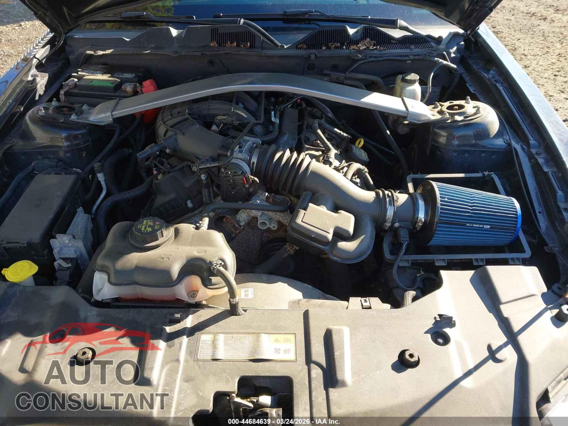 FORD MUSTANG 2014 - 1ZVBP8EM8E5208388