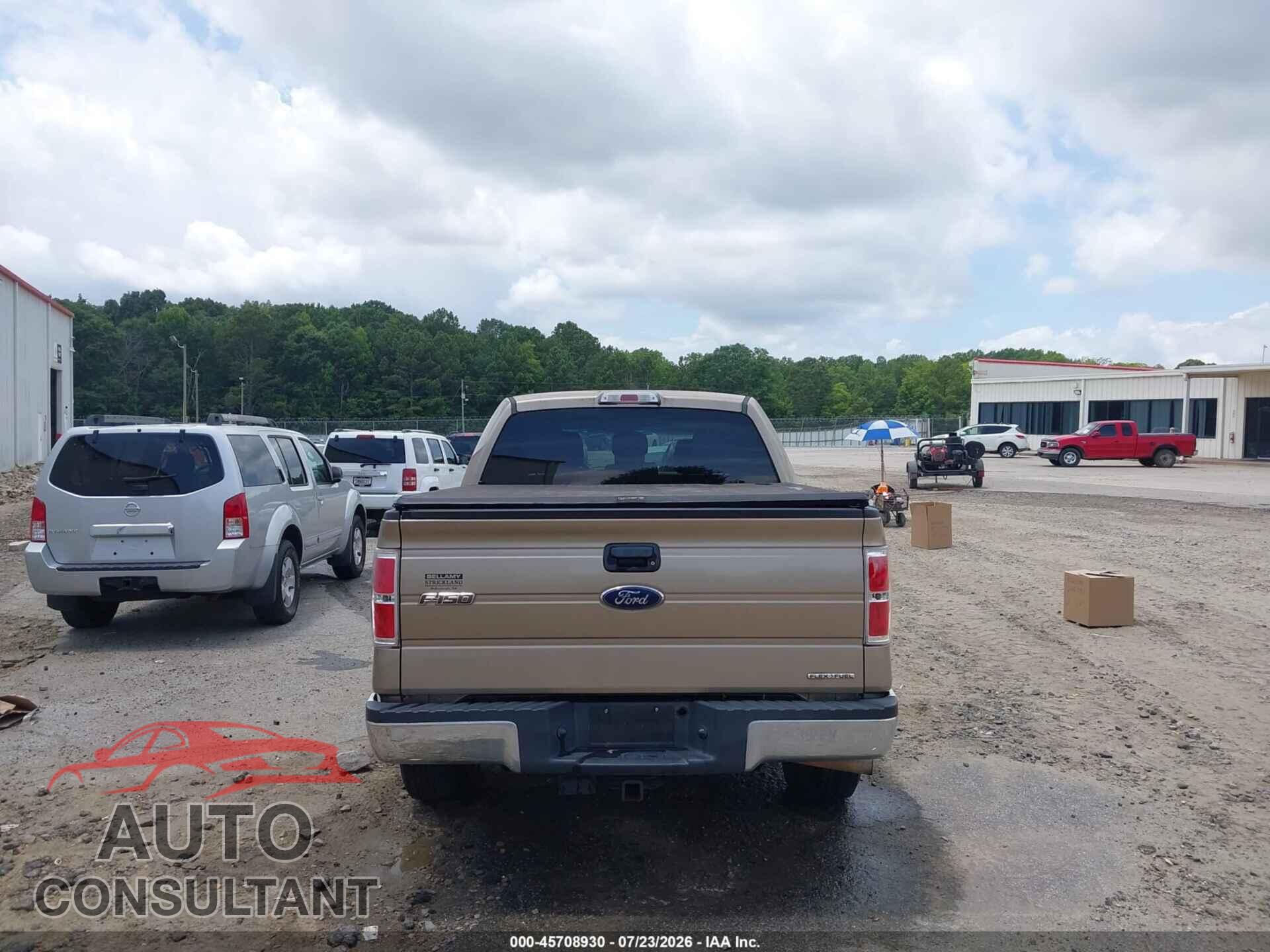 FORD F-150 2013 - 1FTEW1CM2DFD77733