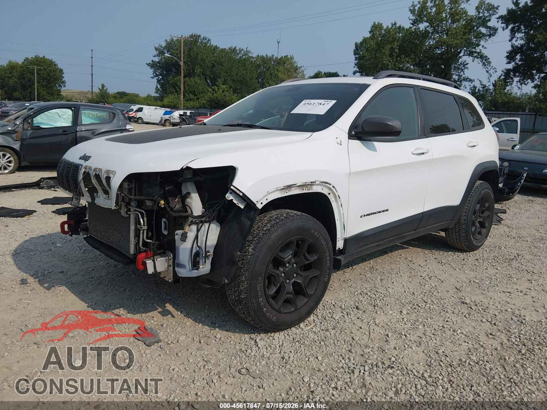 JEEP CHEROKEE 2019 - 1C4PJMBX7KD329769