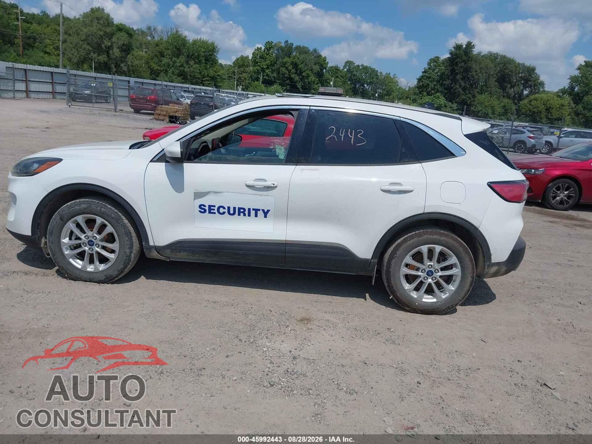 FORD ESCAPE 2020 - 1FMCU9G65LUA86236