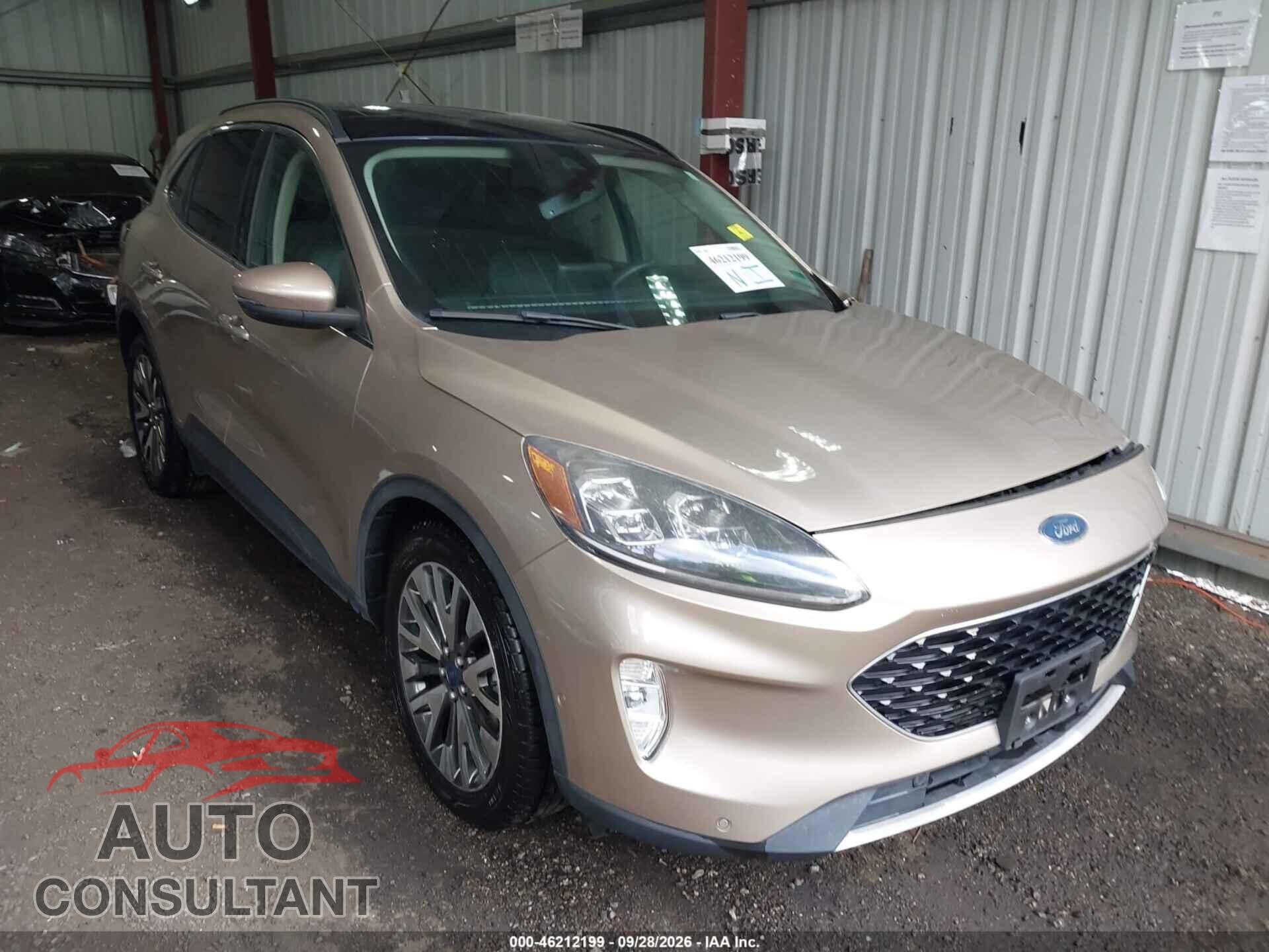 FORD ESCAPE 2020 - 1FMCU0DZXLUA70656