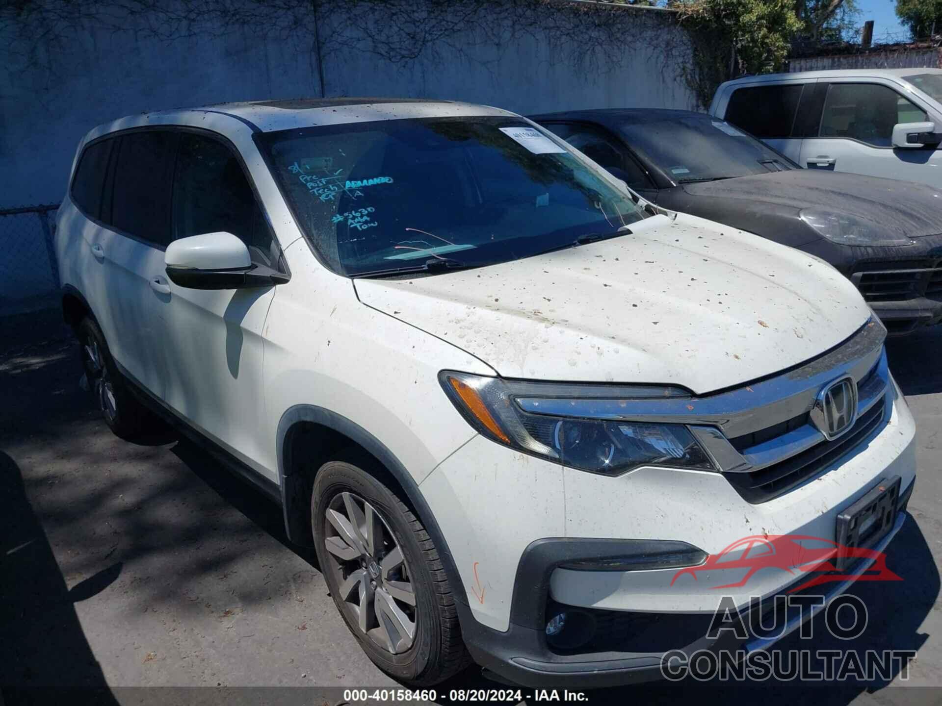 HONDA PILOT 2019 - 5FNYF5H51KB024374