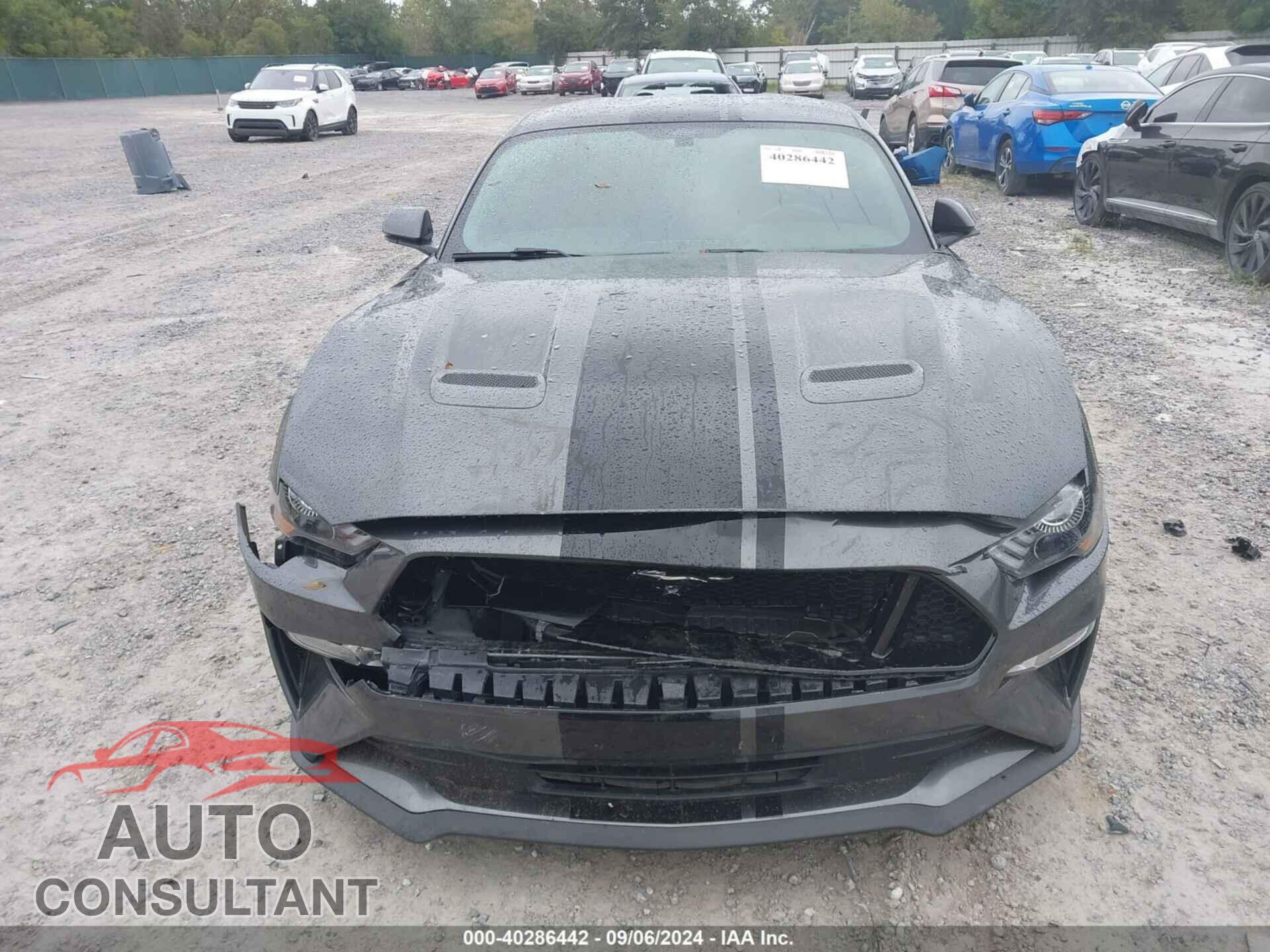 FORD MUSTANG 2019 - 1FA6P8CF8K5163608