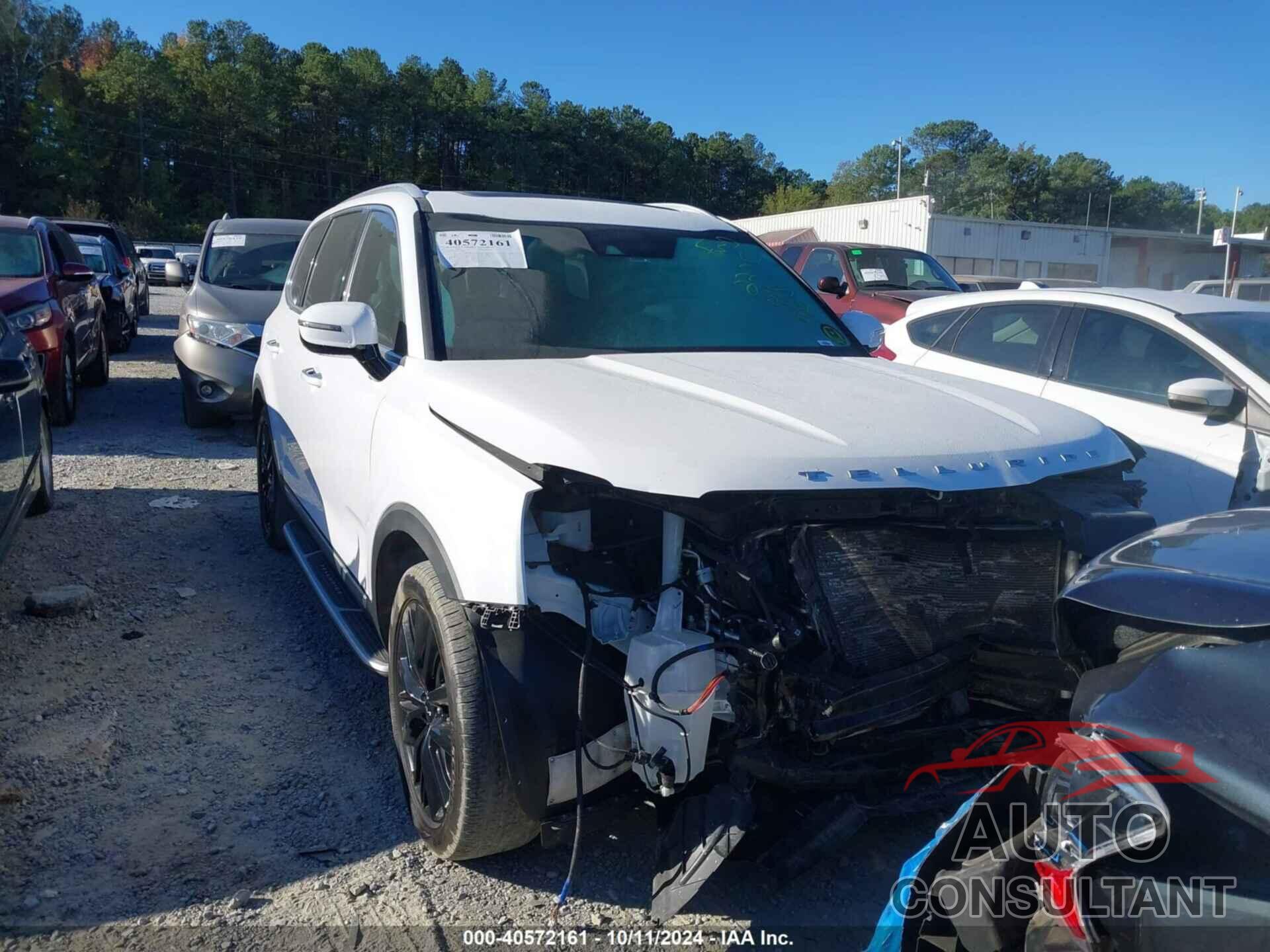 KIA TELLURIDE 2022 - 5XYP54HC6NG227913