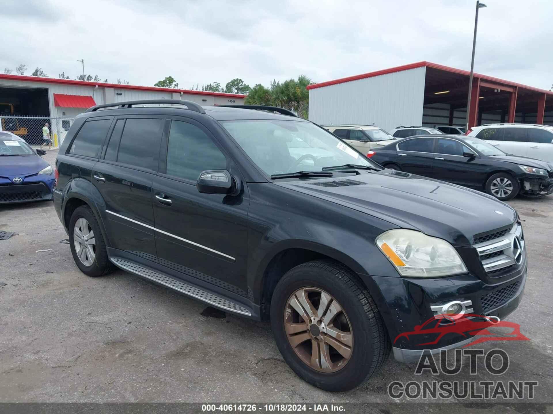MERCEDES-BENZ GL 450 2009 - 4JGBF71E79A477974
