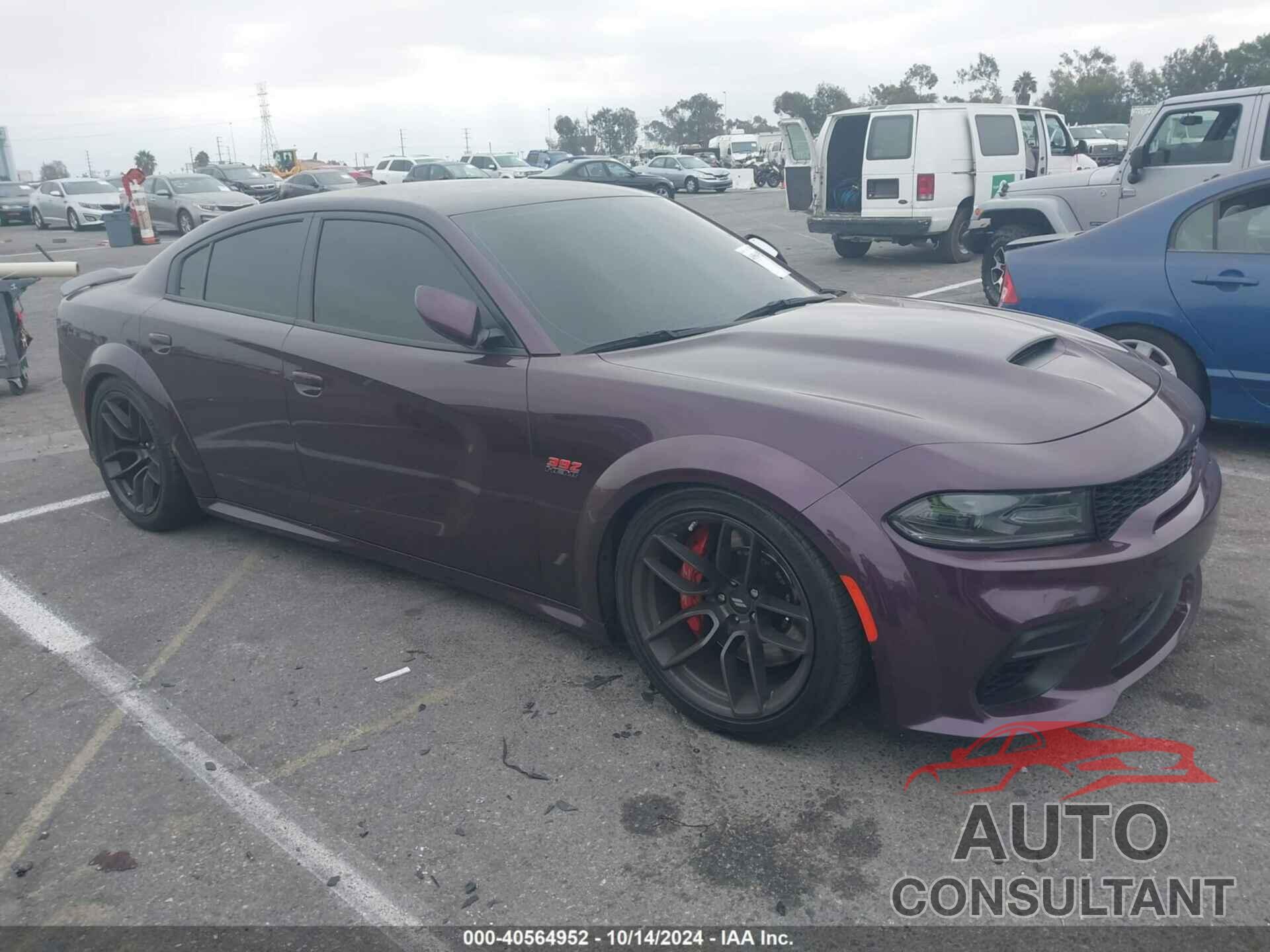 DODGE CHARGER 2021 - 2C3CDXGJ2MH643433