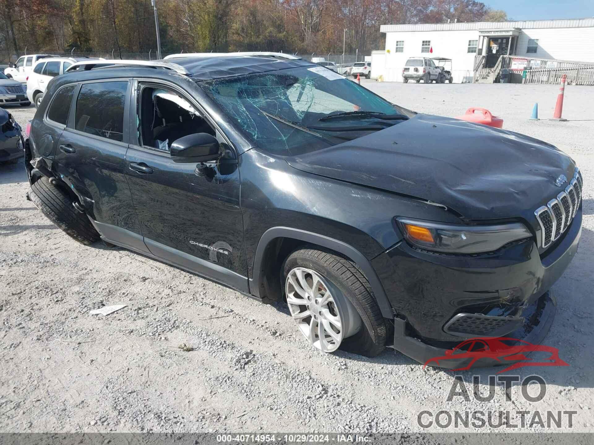 JEEP CHEROKEE 2020 - 1C4PJLCB5LD525157