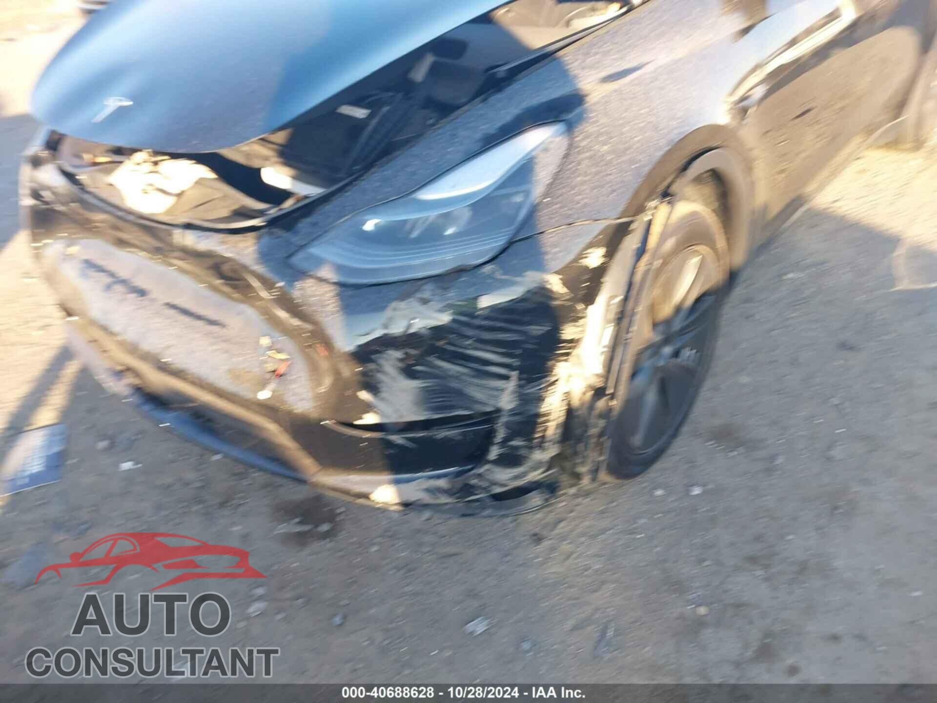TESLA MODEL Y 2024 - 7SAYGDED0RF156641
