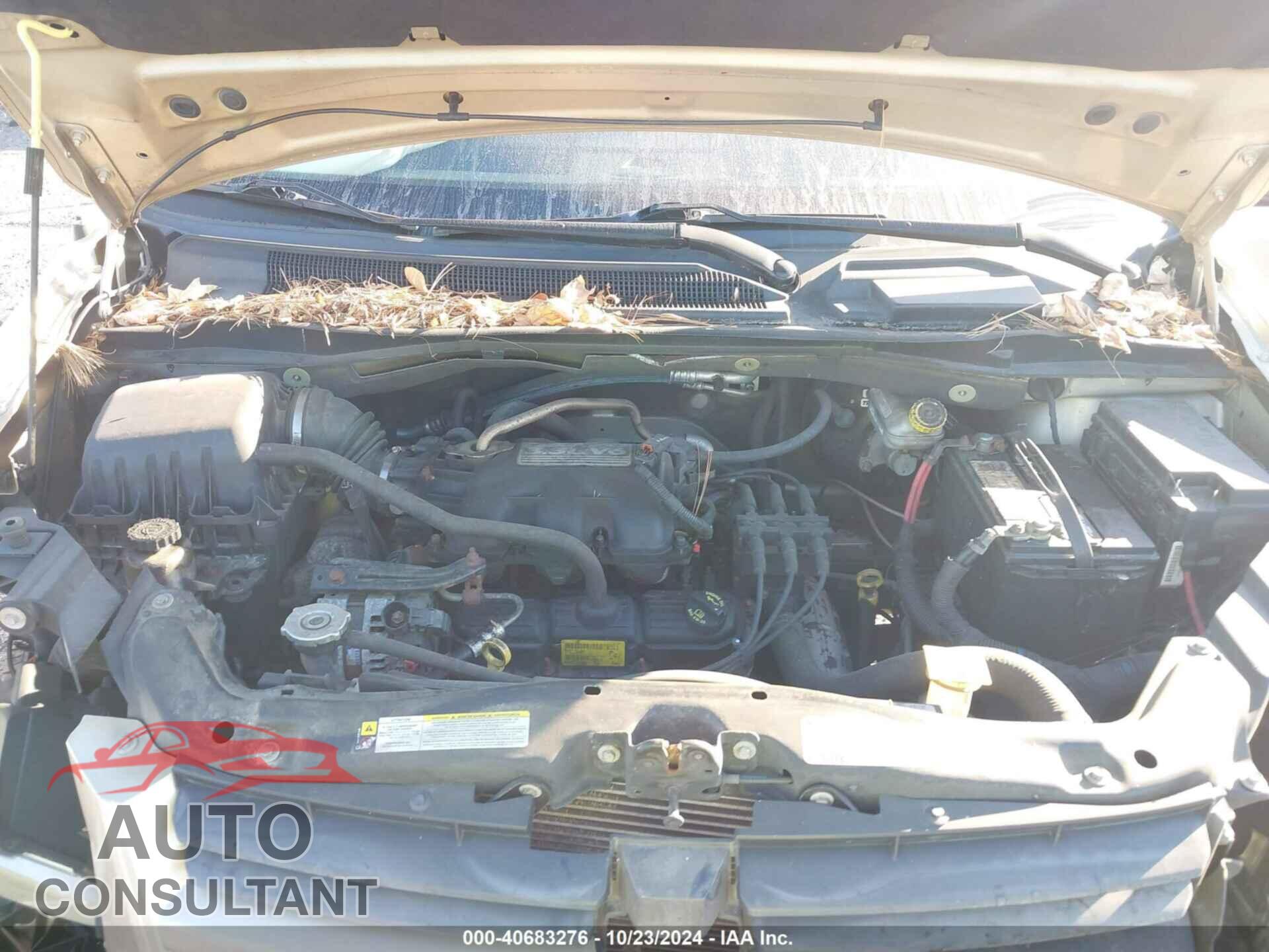 DODGE GRAND CARAVAN 2010 - 2D4RN4DE3AR487033