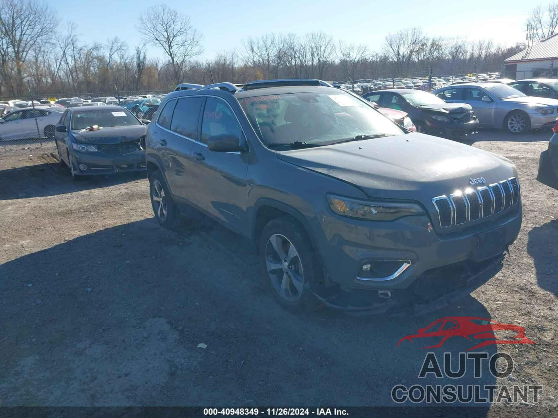 JEEP CHEROKEE 2019 - 1C4PJMDX6KD369550