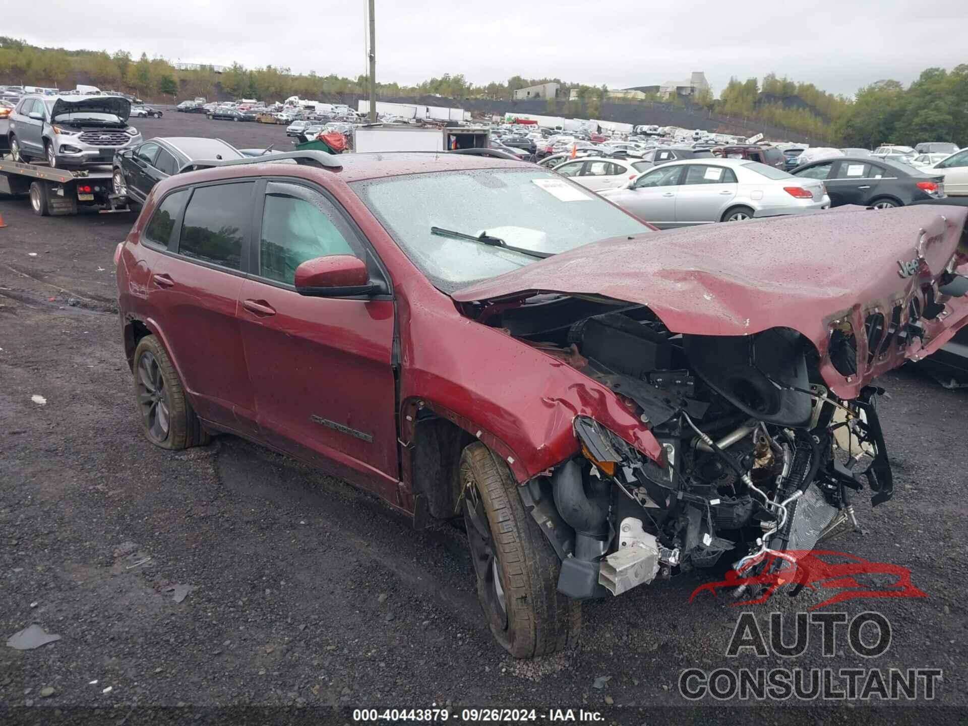 JEEP CHEROKEE 2019 - 1C4PJMDX0KD465447