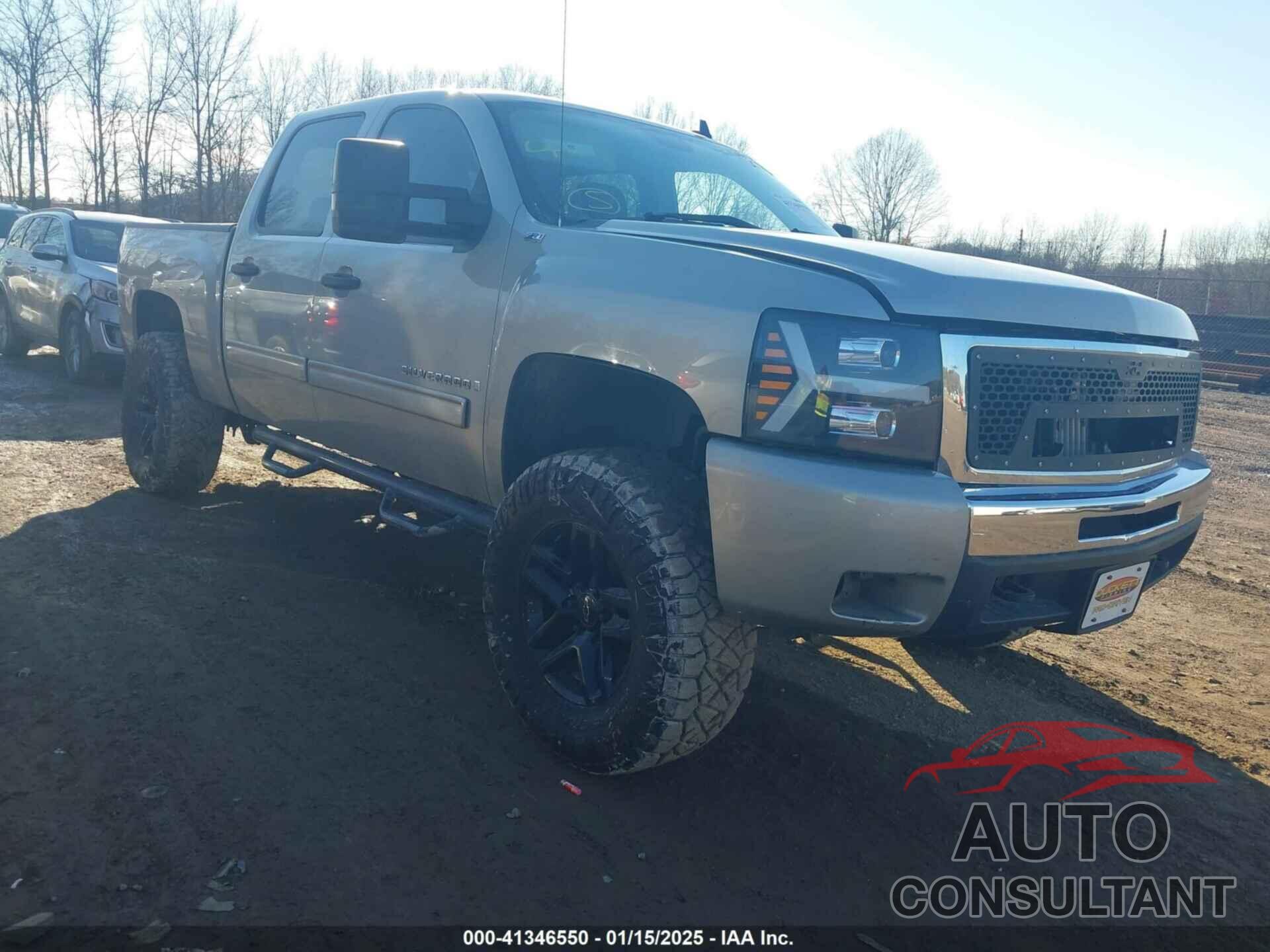 CHEVROLET SILVERADO 1500 2009 - 3GCEK23319G217177