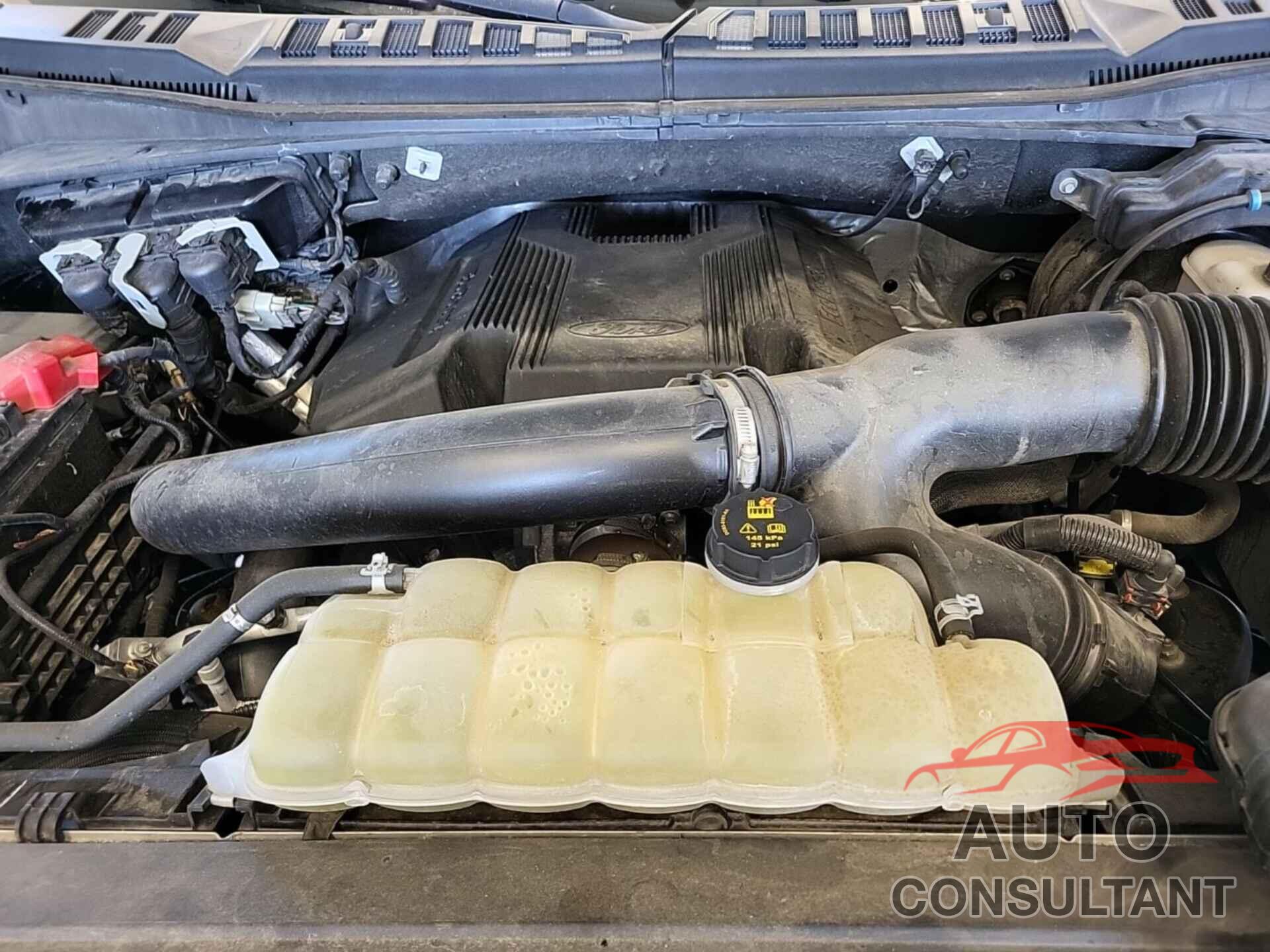 FORD F150 2020 - 1FTEW1E44LKE46036