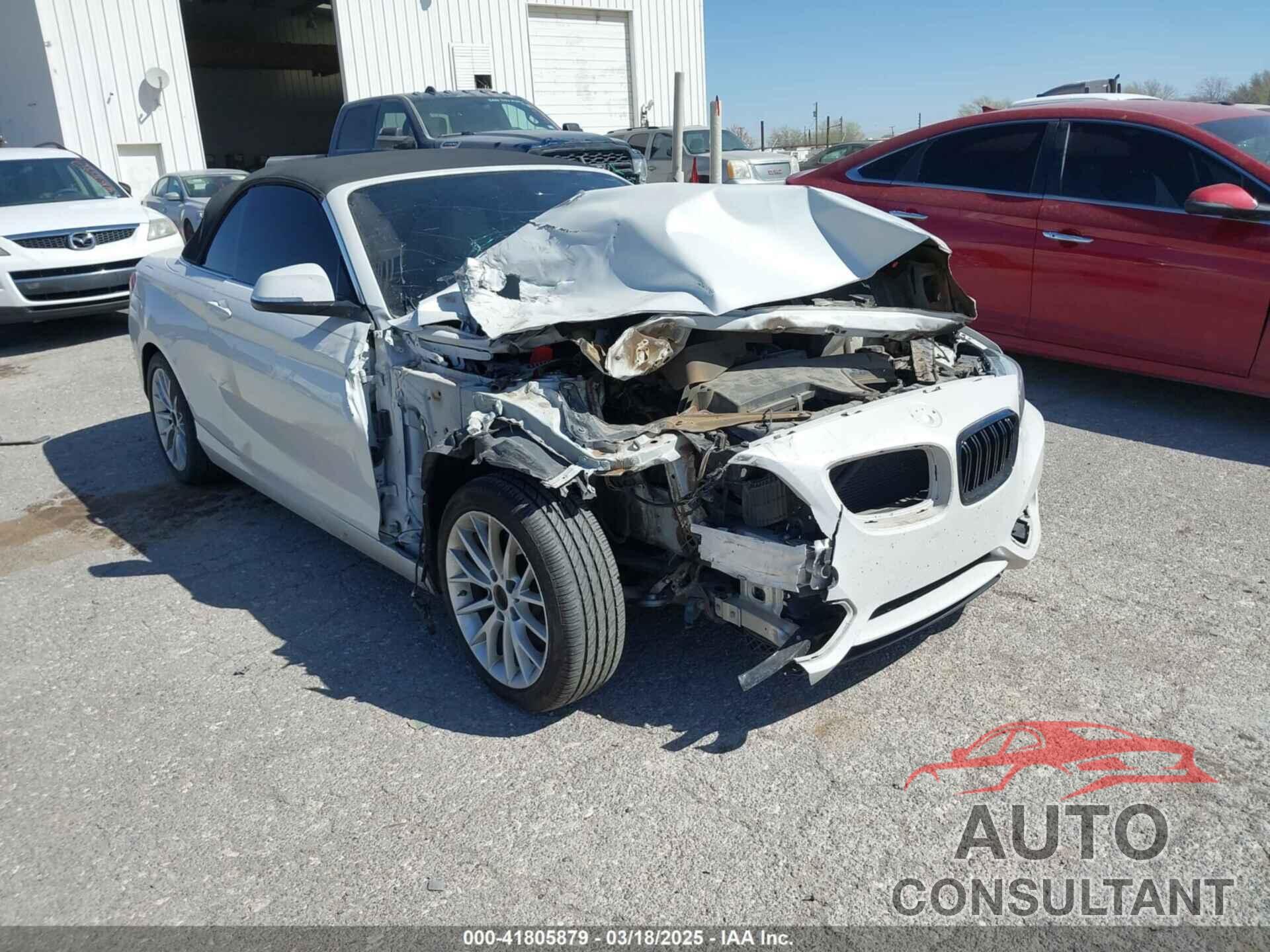 BMW 228I 2015 - WBA1K5C50FV474011