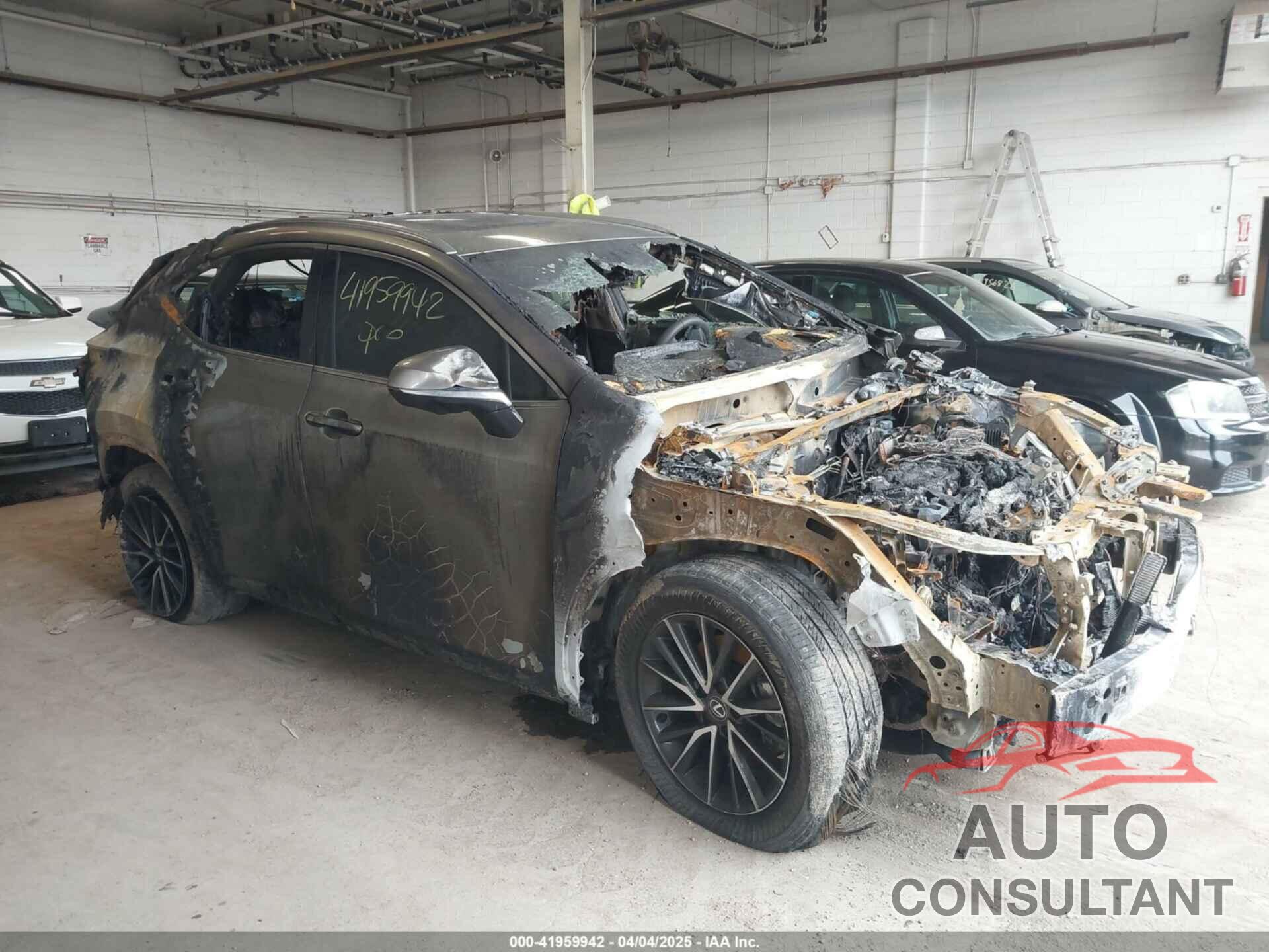 LEXUS NX 350H 2024 - 2T2GKCEZXRC020420
