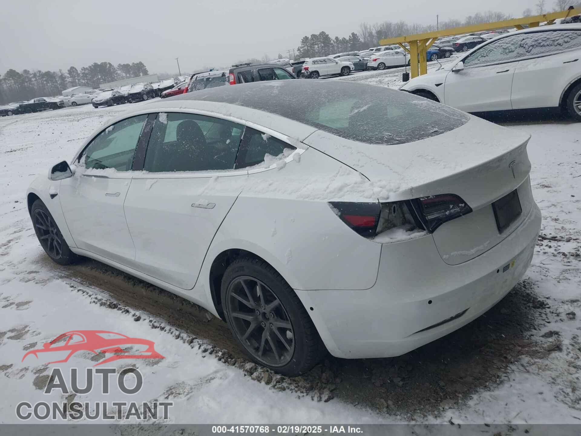 TESLA MODEL 3 2019 - 5YJ3E1EA2KF299730