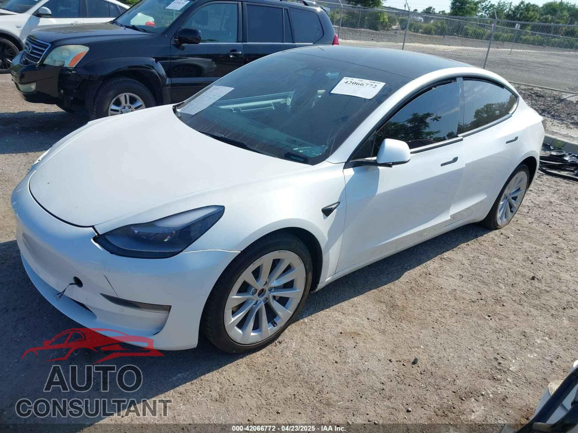 TESLA MODEL 3 2022 - 5YJ3E1EB4NF181580