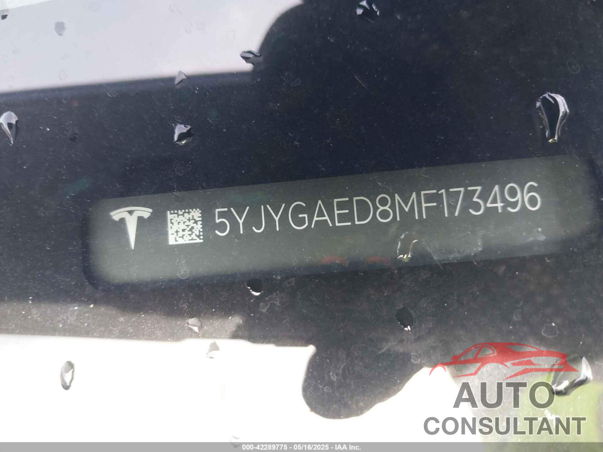 TESLA MODEL Y 2021 - 5YJYGAED8MF173496