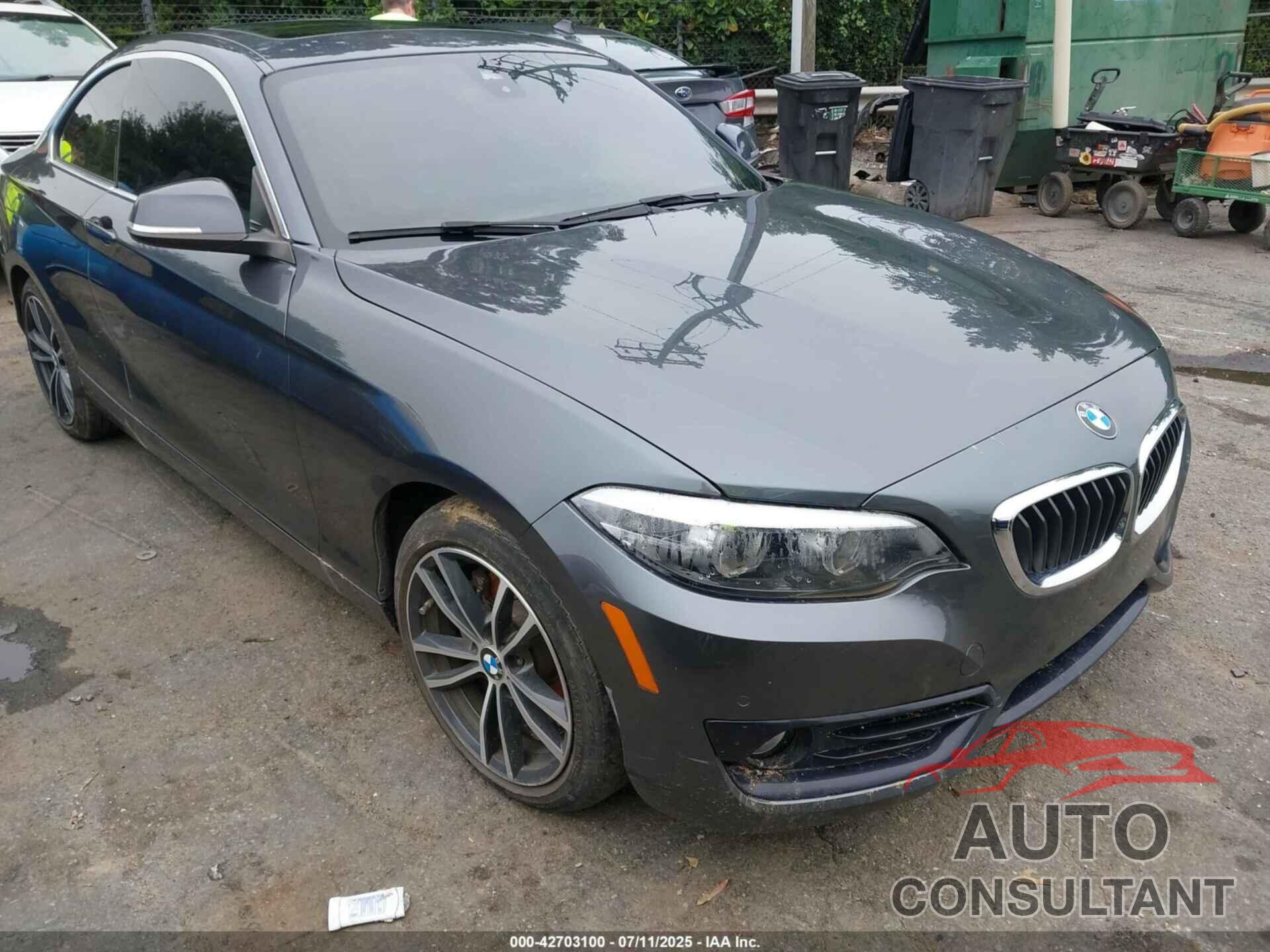 BMW 230I 2019 - WBA2J1C51K7D52548