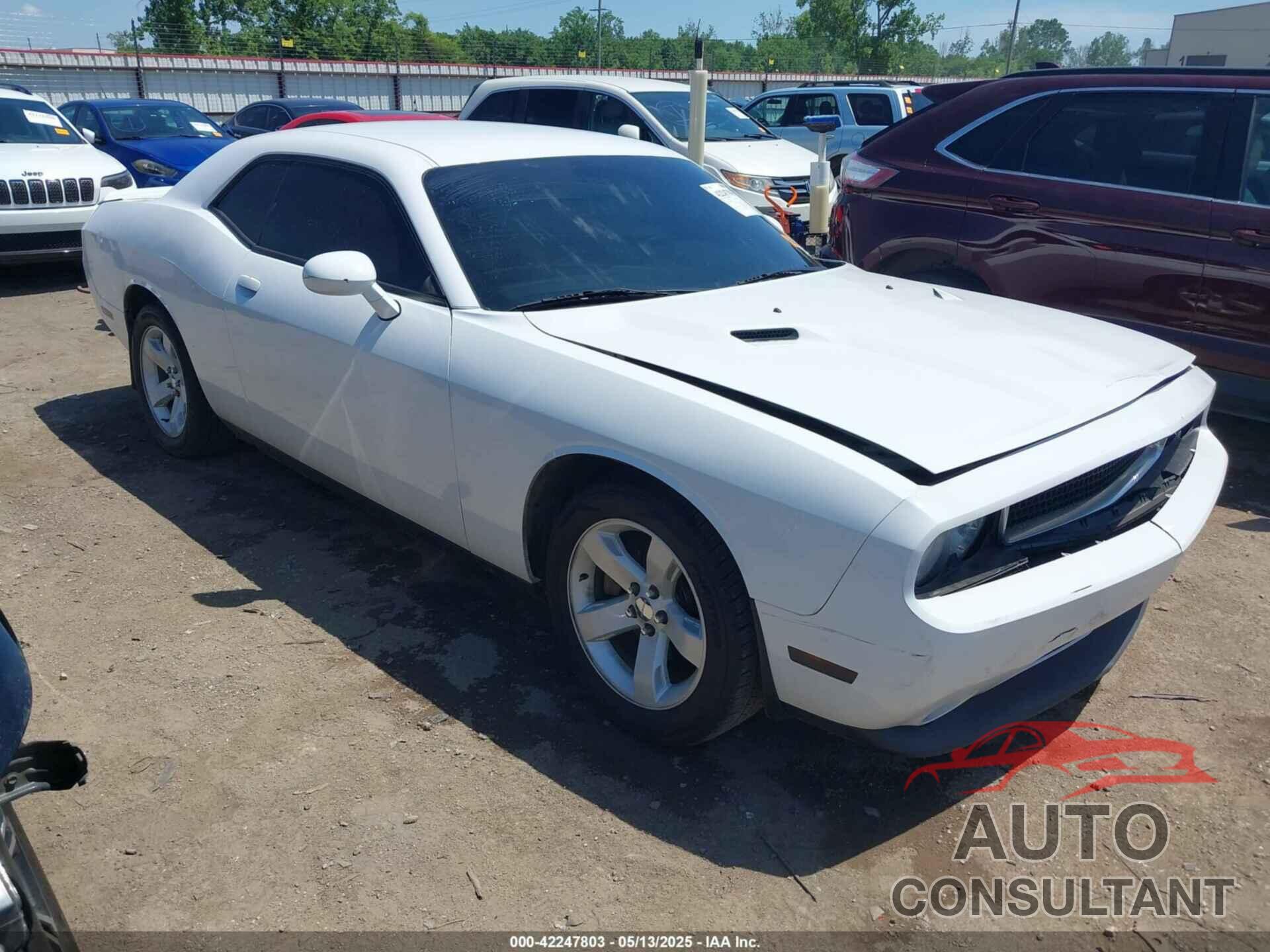 DODGE CHALLENGER 2014 - 2C3CDYAG9EH213273