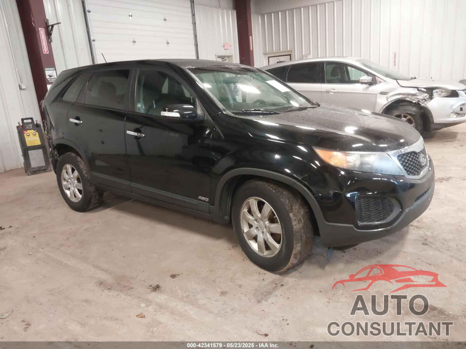 KIA SORENTO 2011 - 5XYKTCA16BG065442