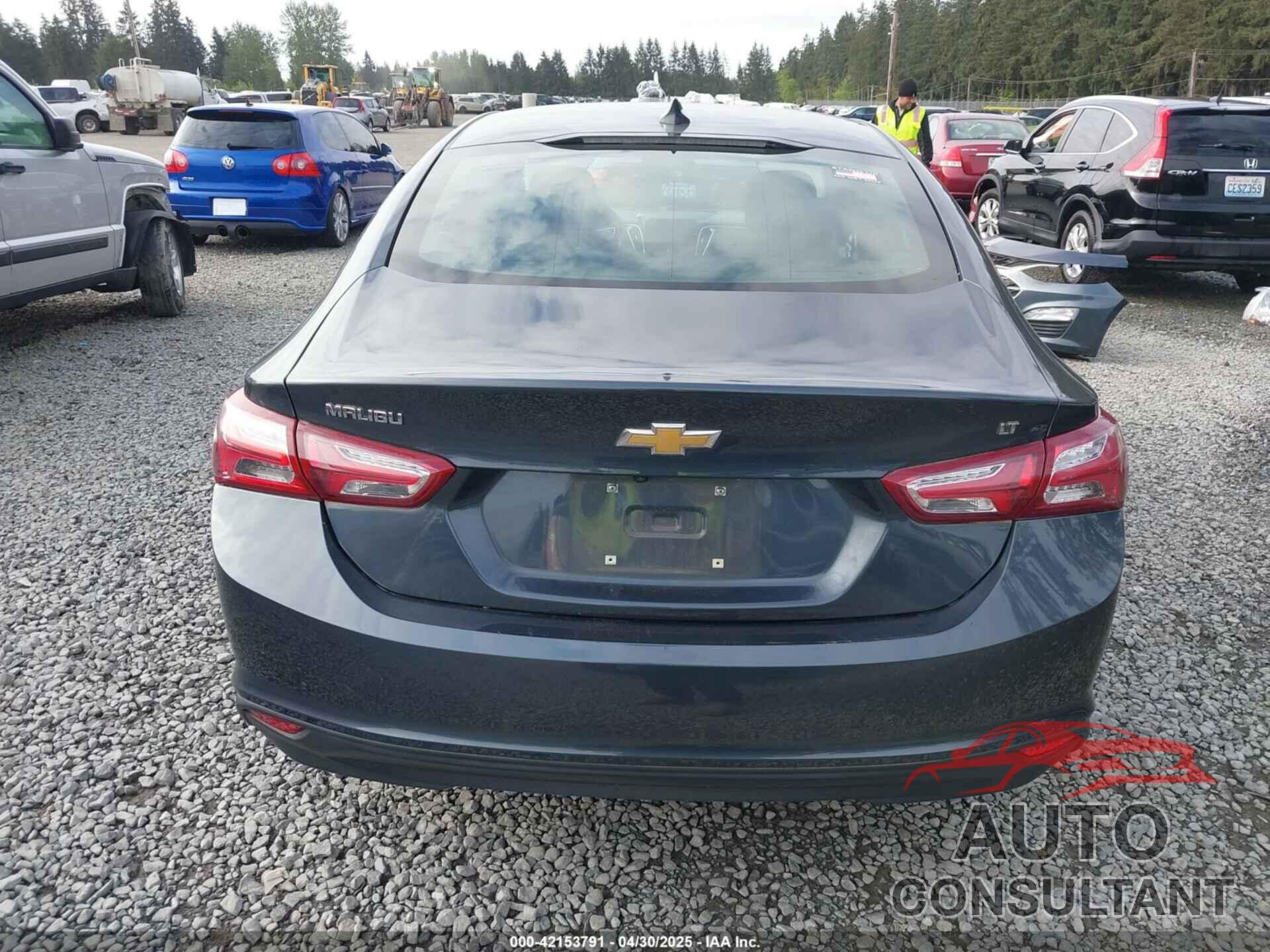CHEVROLET MALIBU 2019 - 1G1ZD5ST6KF142877