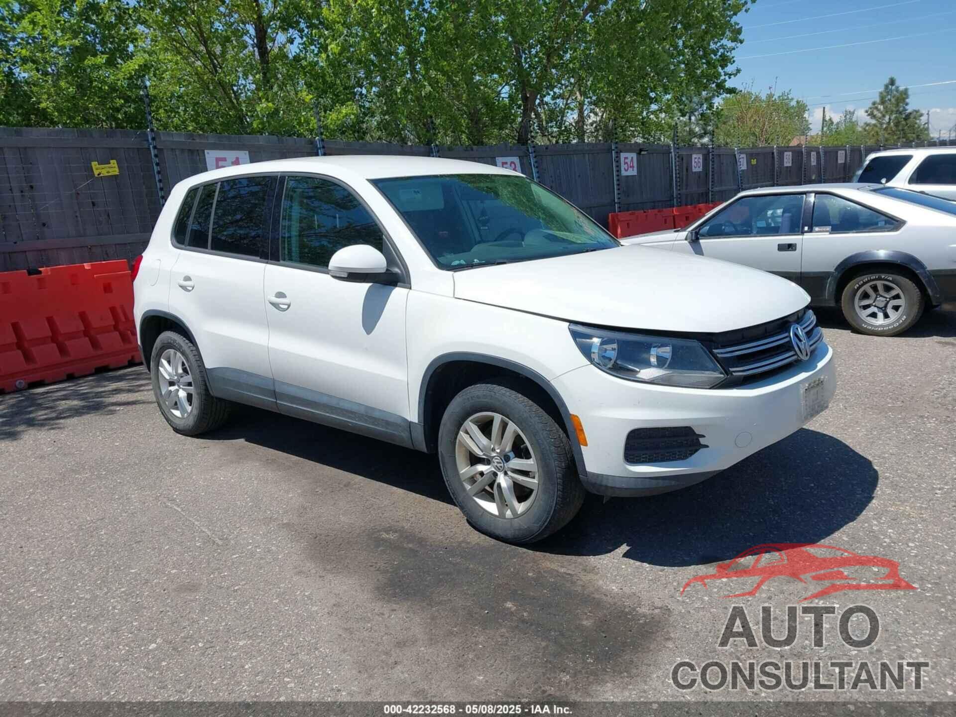 VOLKSWAGEN TIGUAN 2013 - WVGAV3AX8DW581359