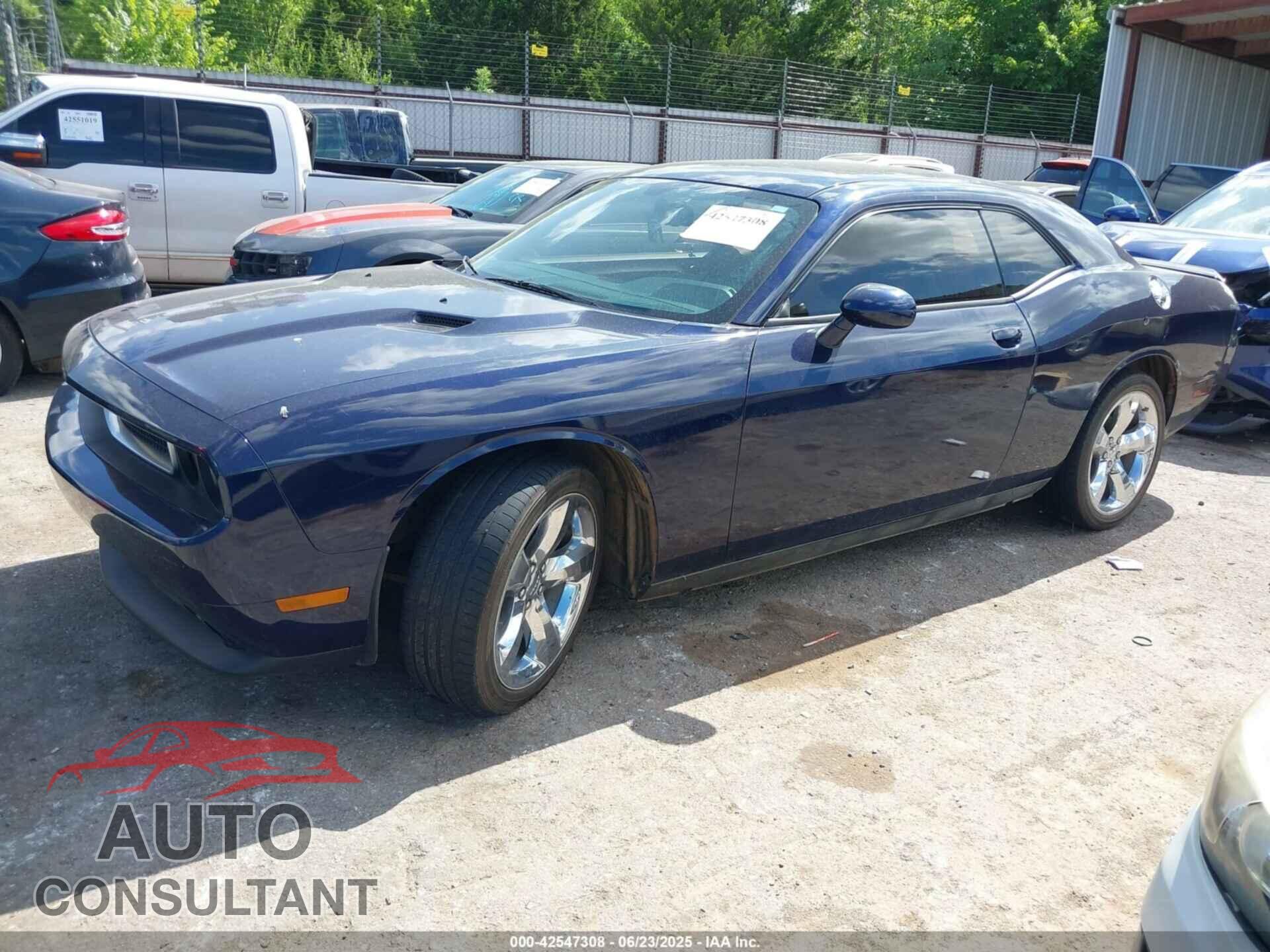 DODGE CHALLENGER 2013 - 2C3CDYAG8DH695247