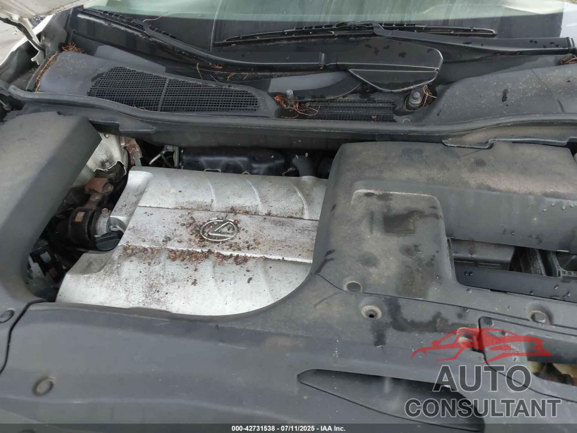 LEXUS RX 350 2010 - 2T2BK1BA5AC009195