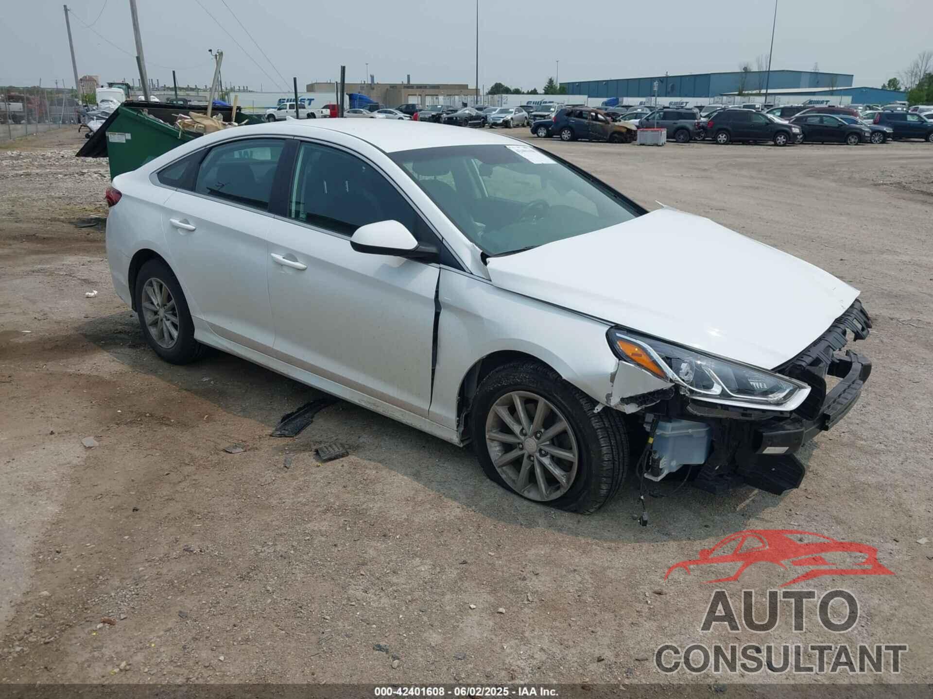 HYUNDAI SONATA 2019 - 5NPE24AF7KH732562
