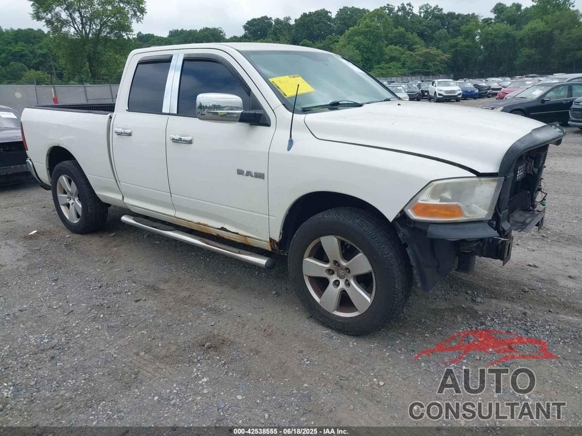 DODGE RAM 1500 2009 - 1D3HV18P19S803288