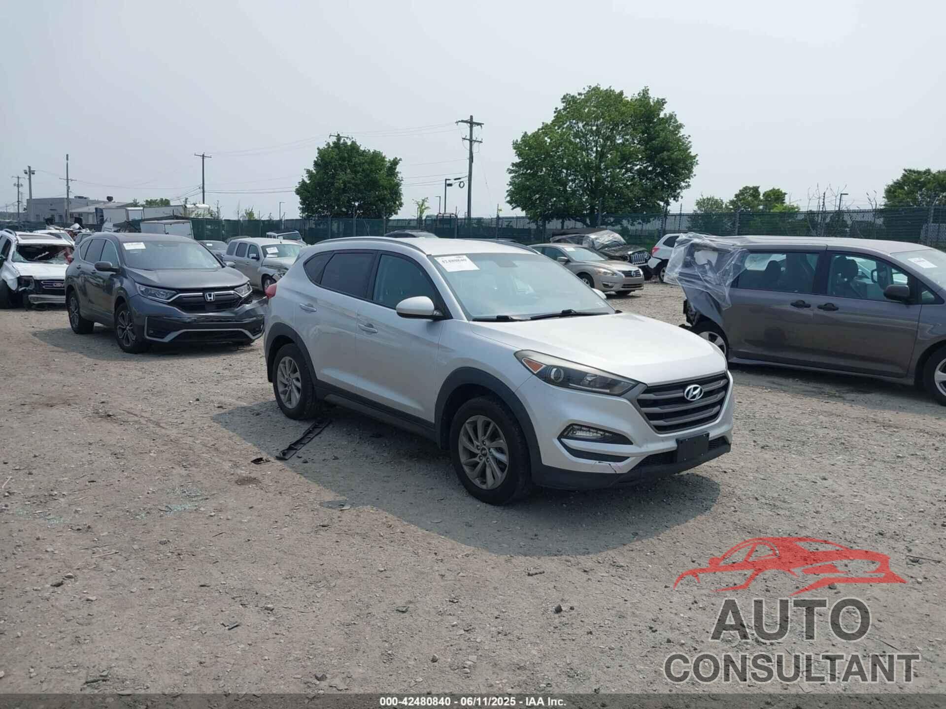 HYUNDAI TUCSON 2016 - KM8J3CA40GU074189