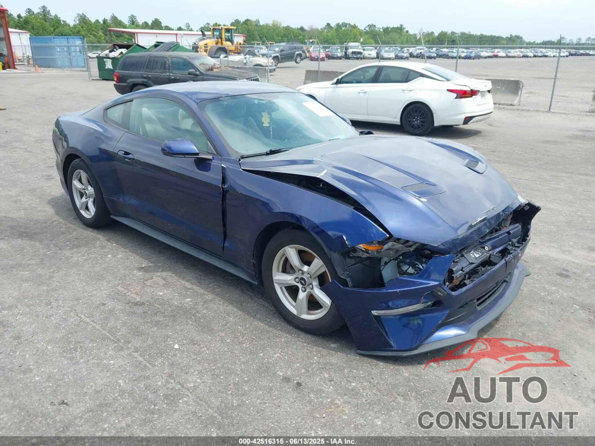 FORD MUSTANG 2019 - 1FA6P8TH3K5174131