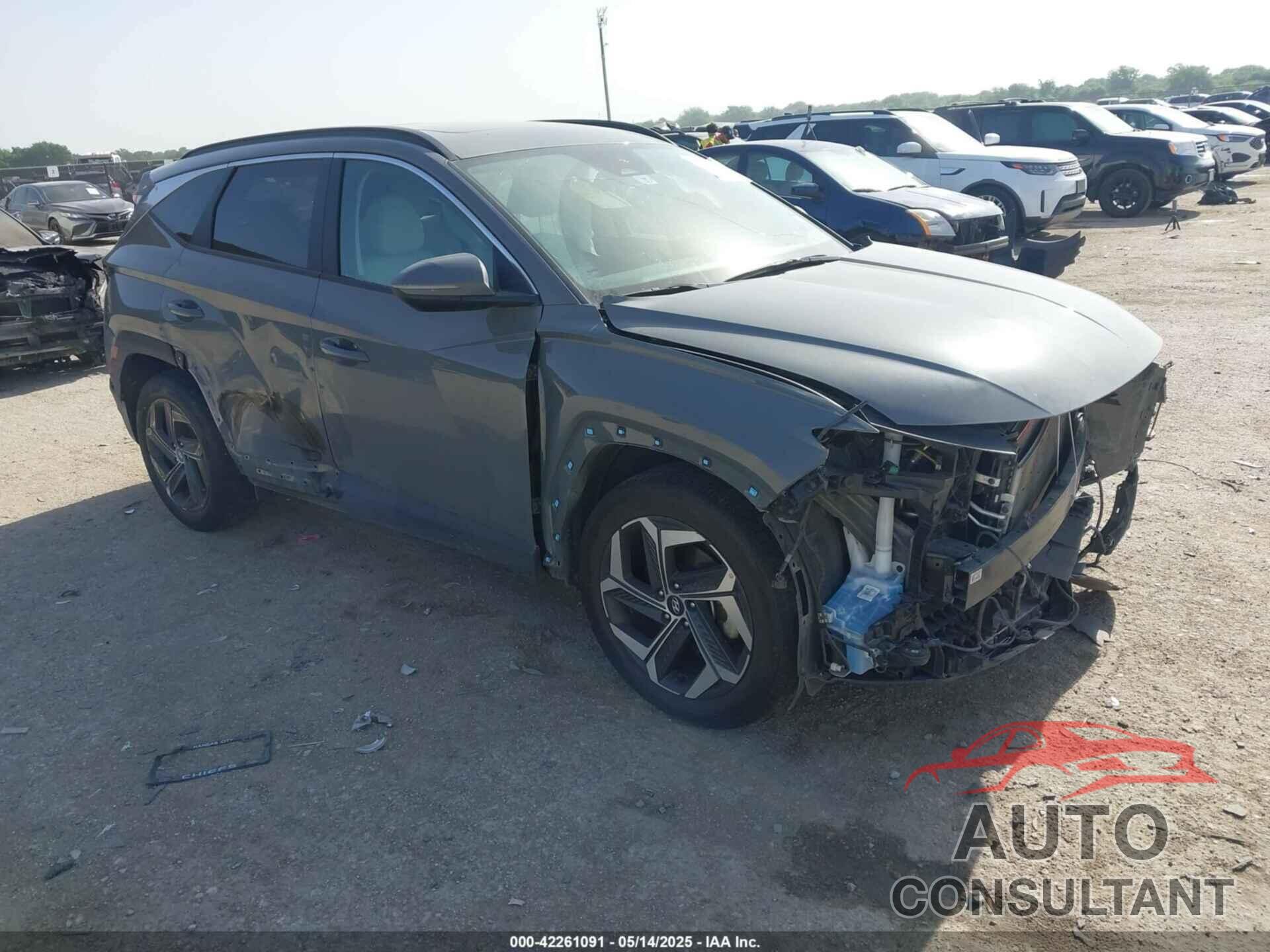 HYUNDAI TUCSON 2024 - 5NMJF3DE5RH438634