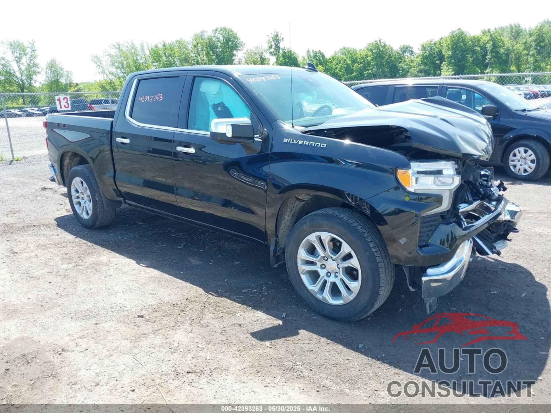 CHEVROLET SILVERADO 1500 2023 - 1GCPAEED5PZ110388