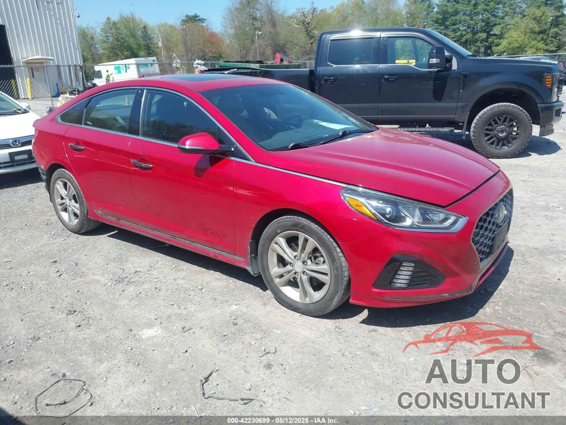 HYUNDAI SONATA 2019 - 5NPE34AF8KH733278