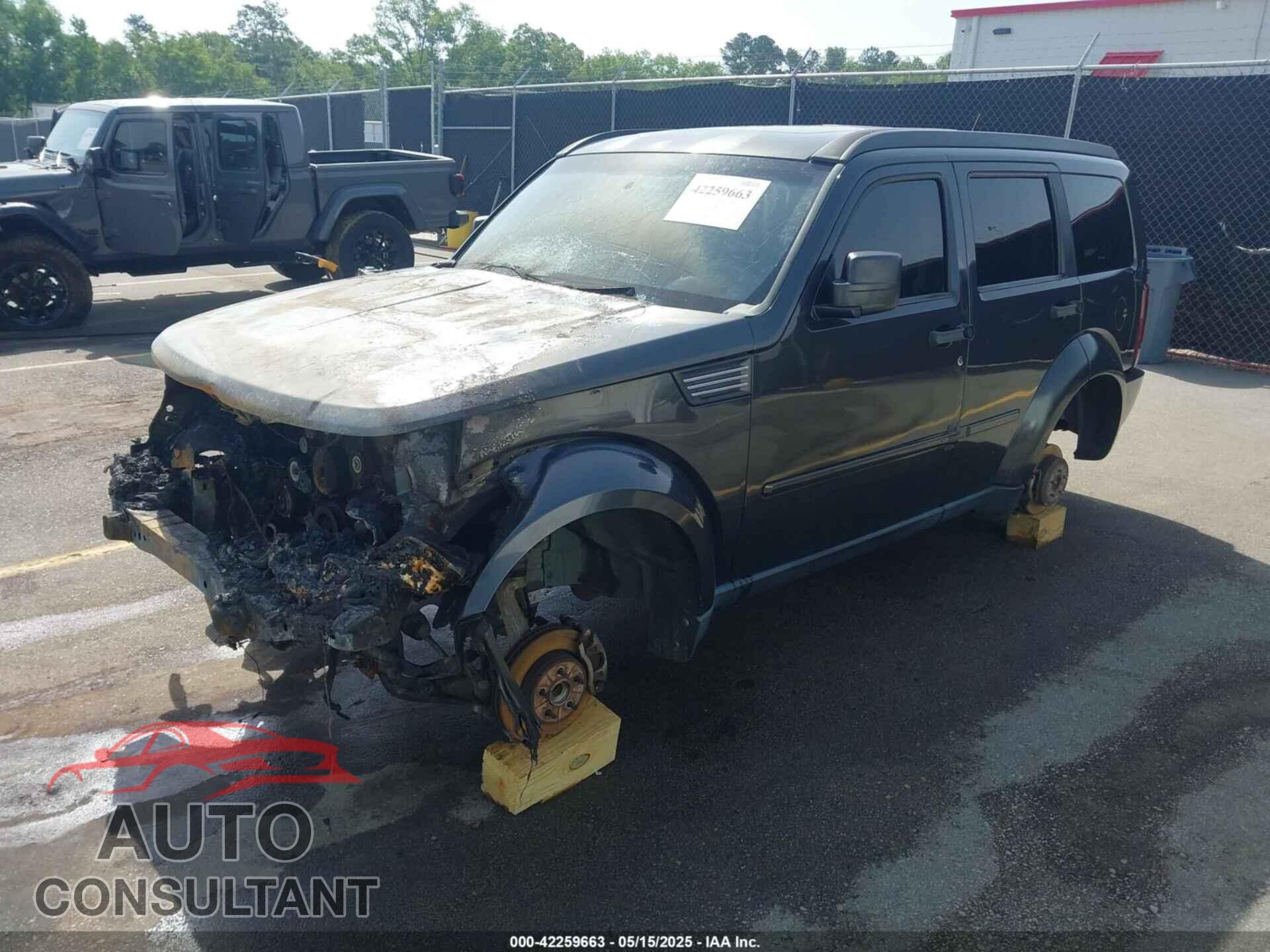 DODGE NITRO 2011 - 1D4PT4GX1BW506231