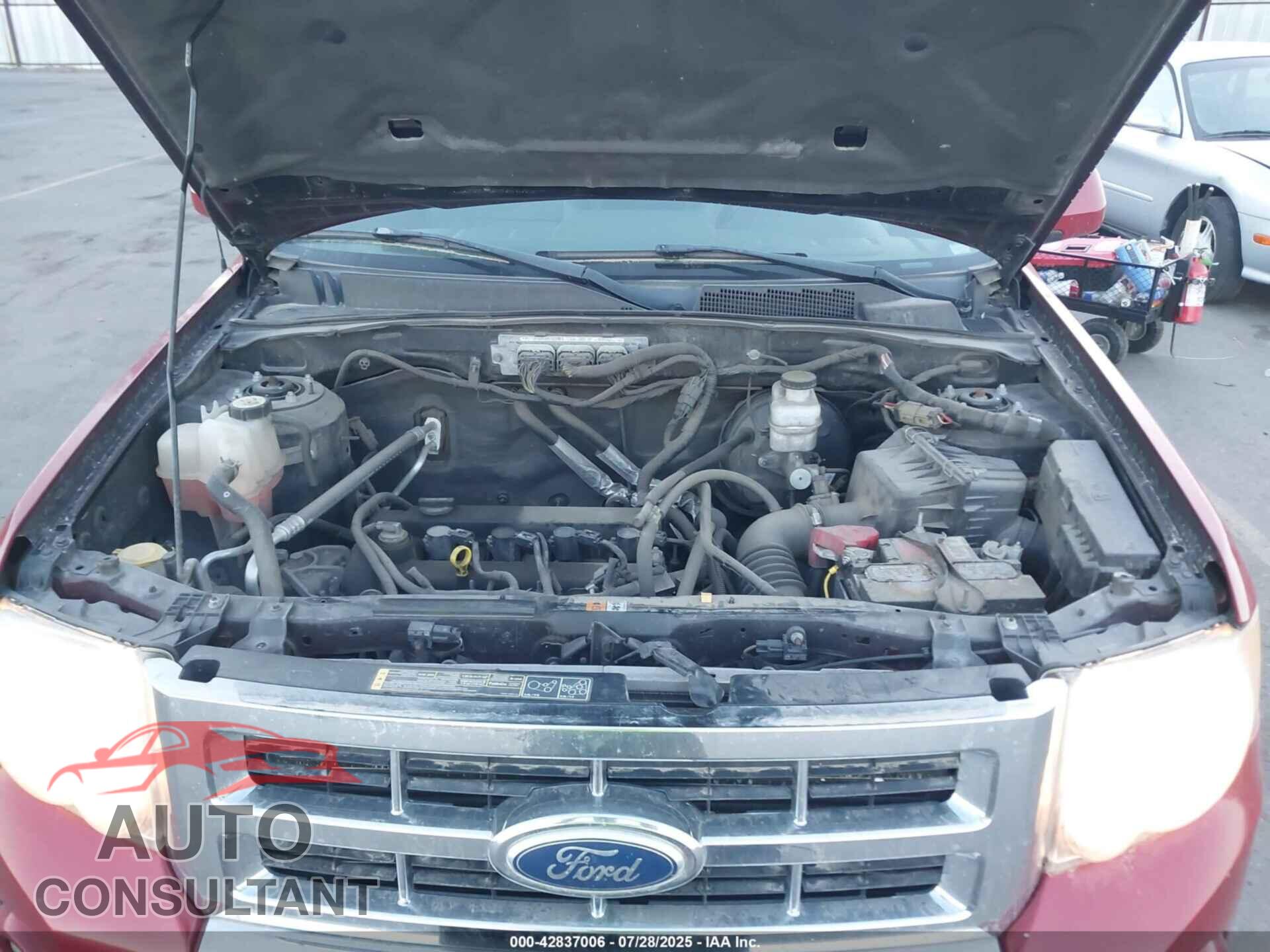 FORD ESCAPE 2011 - 1FMCU9E76BKB67199