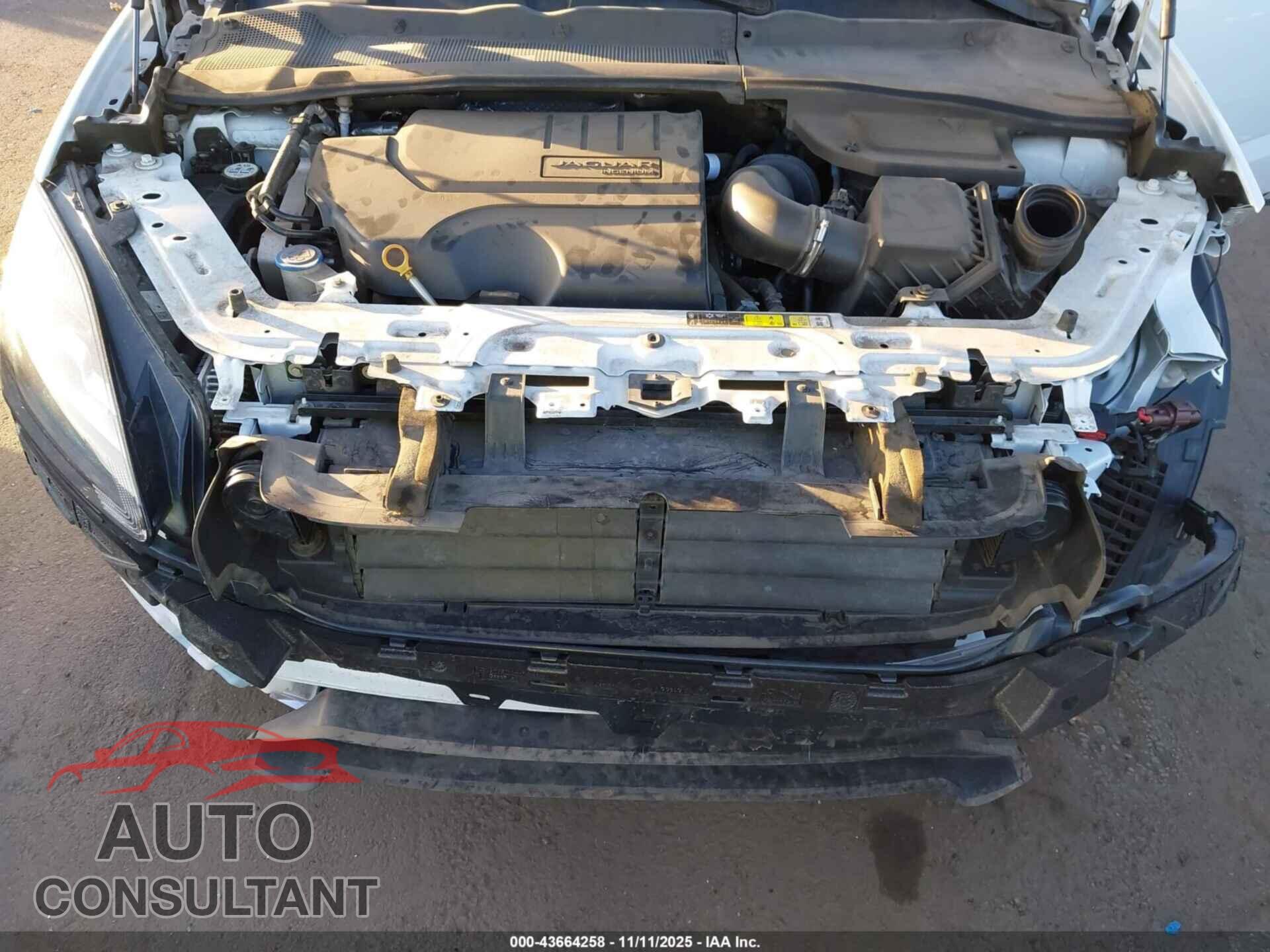 JAGUAR E-PACE 2020 - SADFK2FX7L1013206