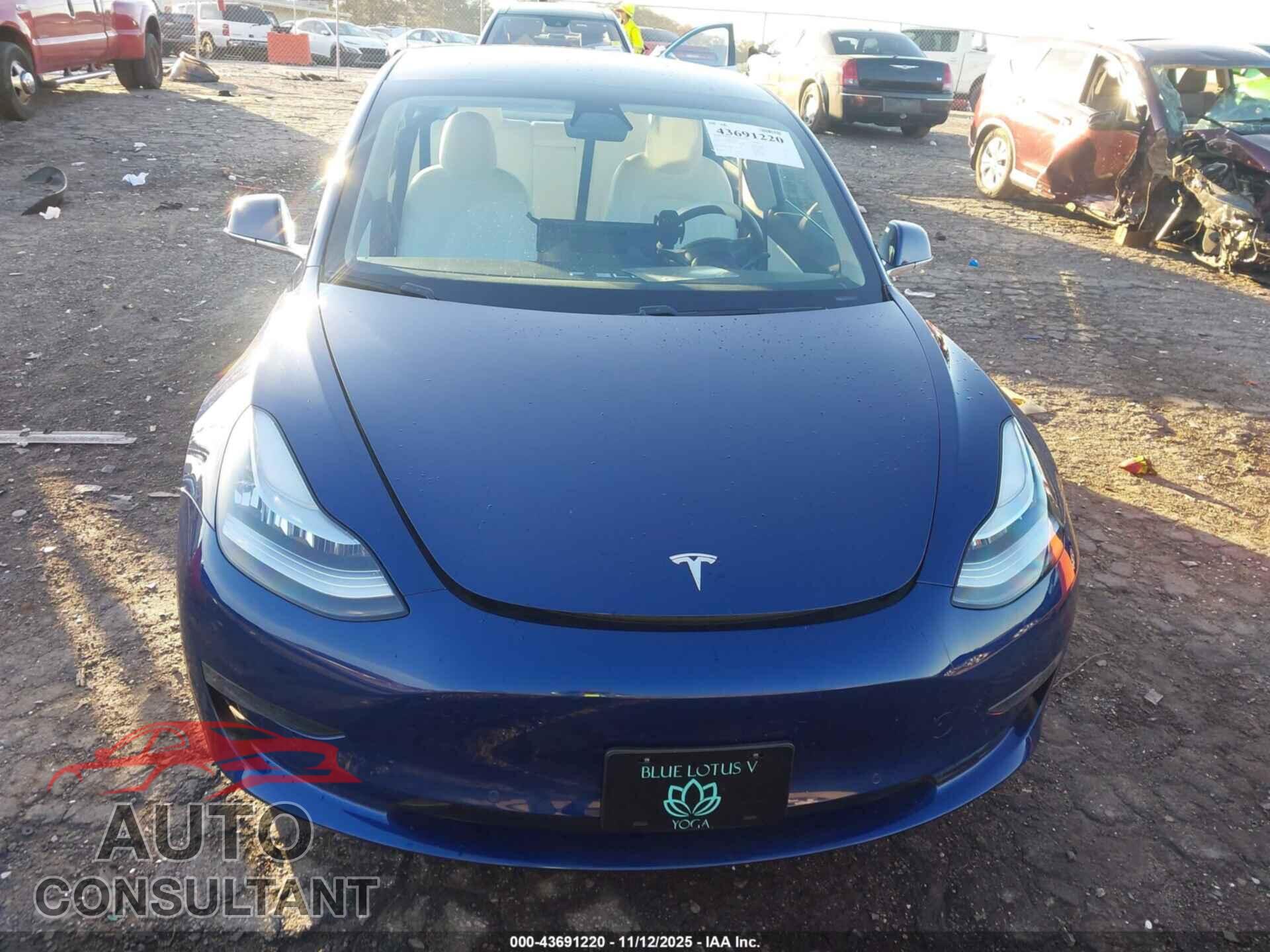 TESLA MODEL 3 2019 - 5YJ3E1EB8KF392017